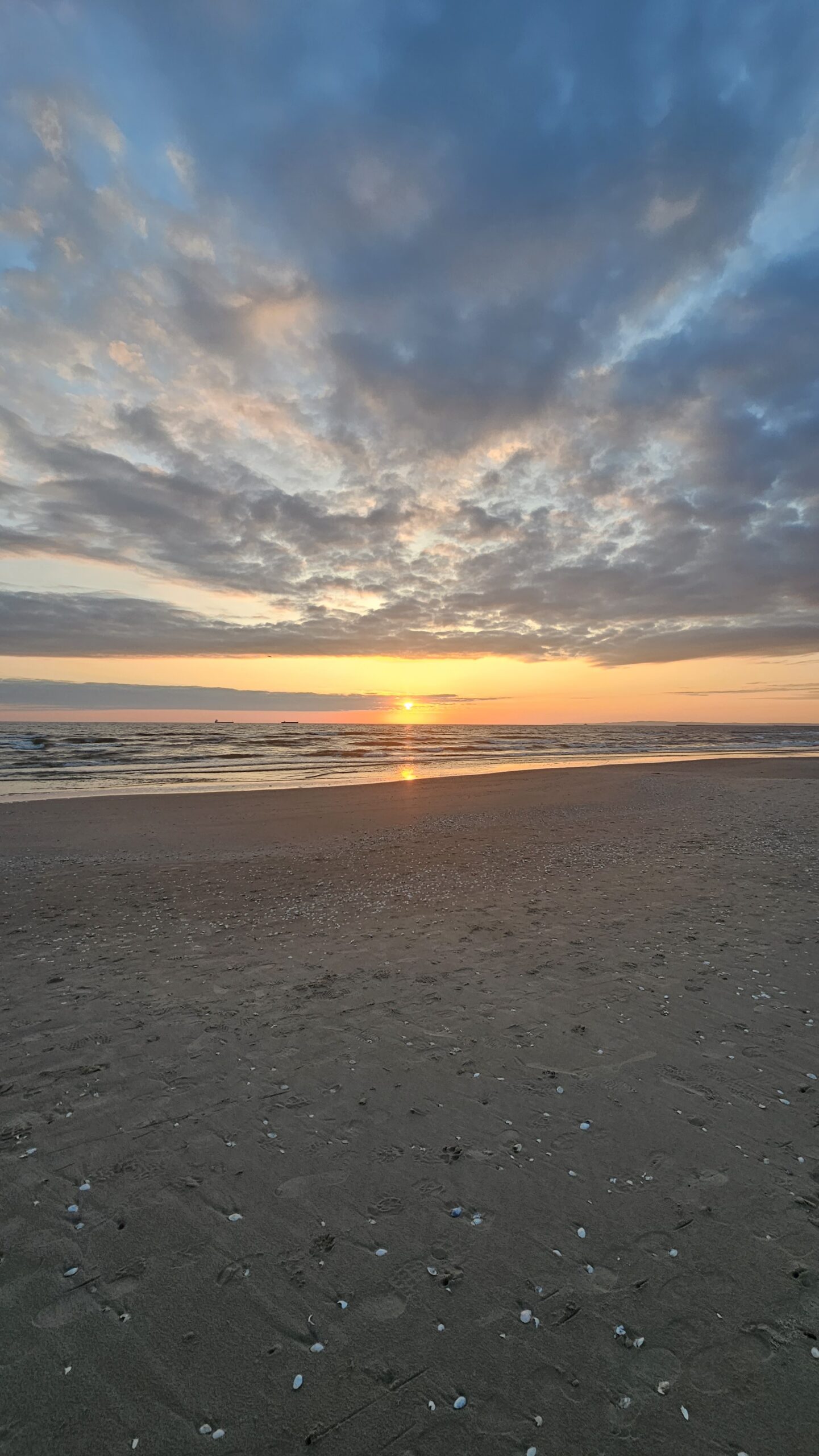 Sonnenaufgang auf Usedom