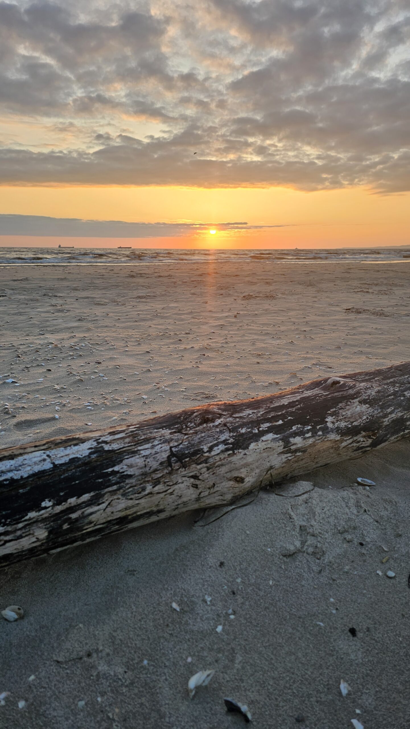 Sonnenaufgang auf Usedom