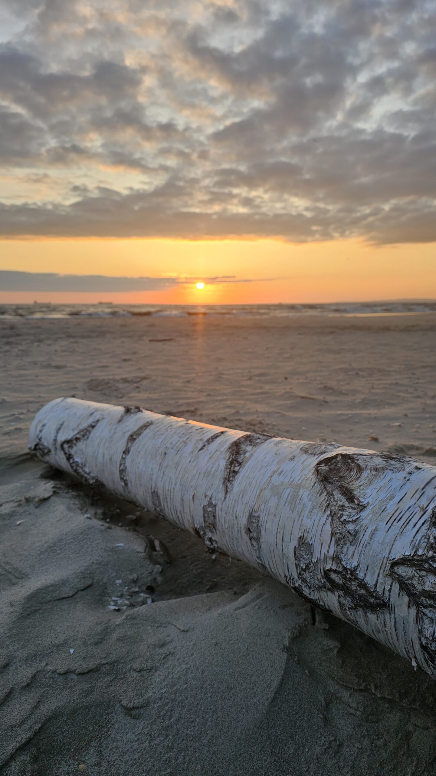Sonnenaufgang auf Usedom