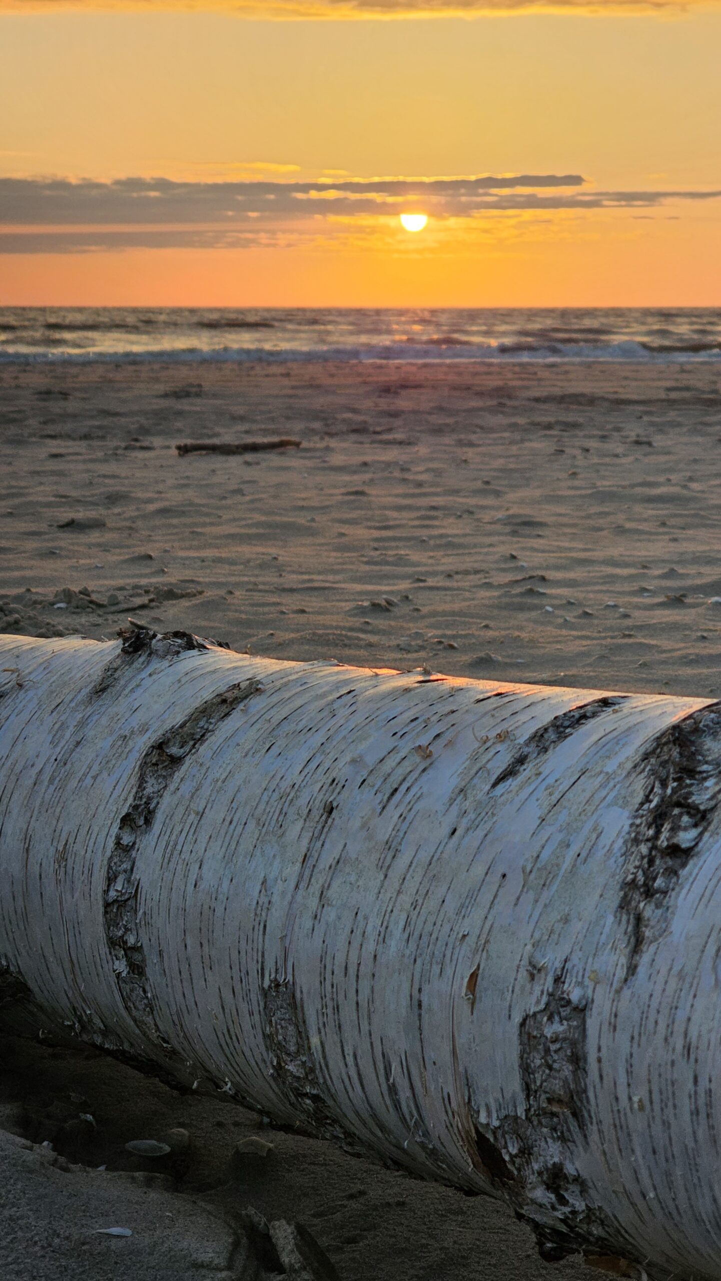 Sonnenaufgang auf Usedom