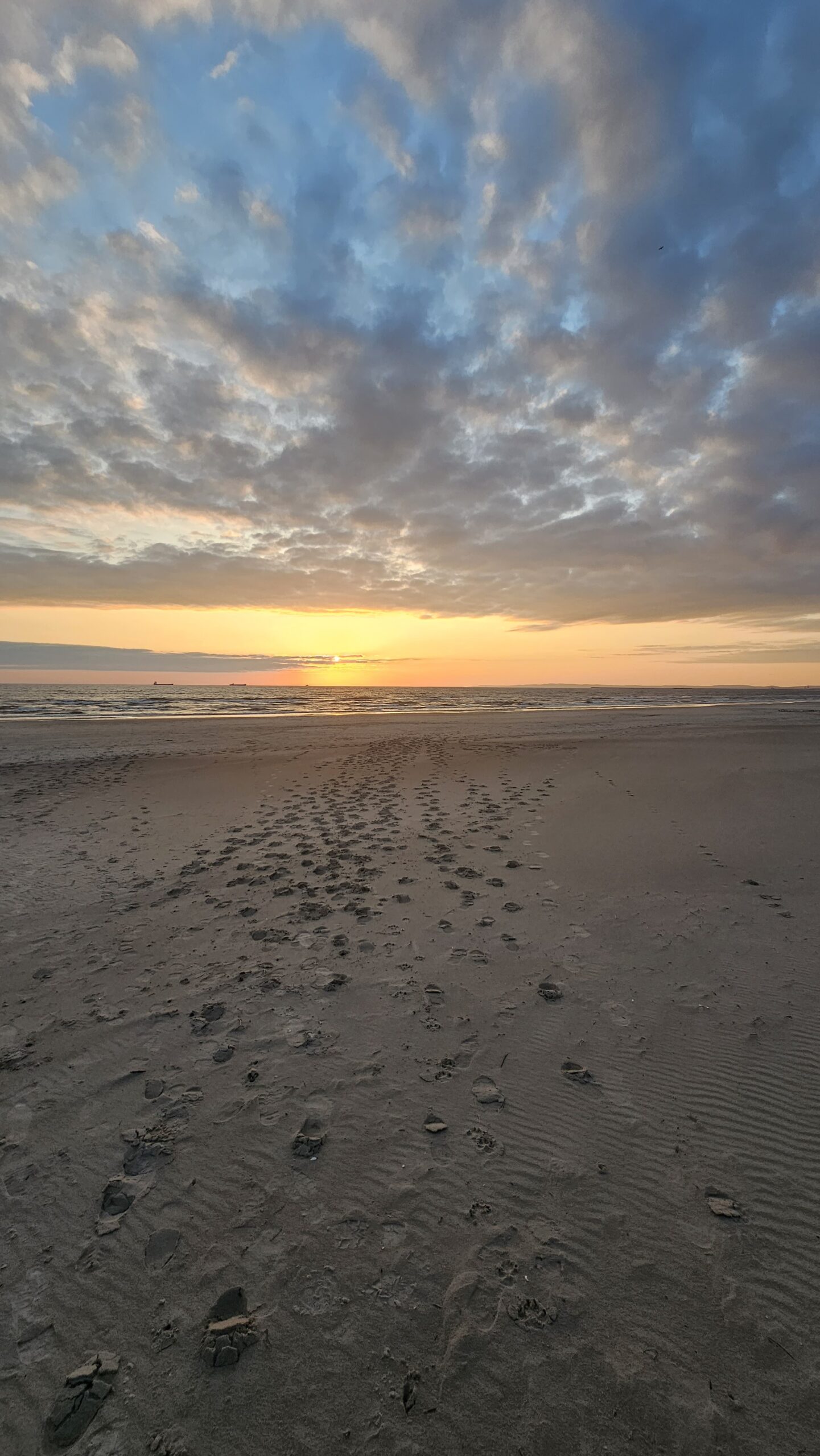 Sonnenaufgang auf Usedom