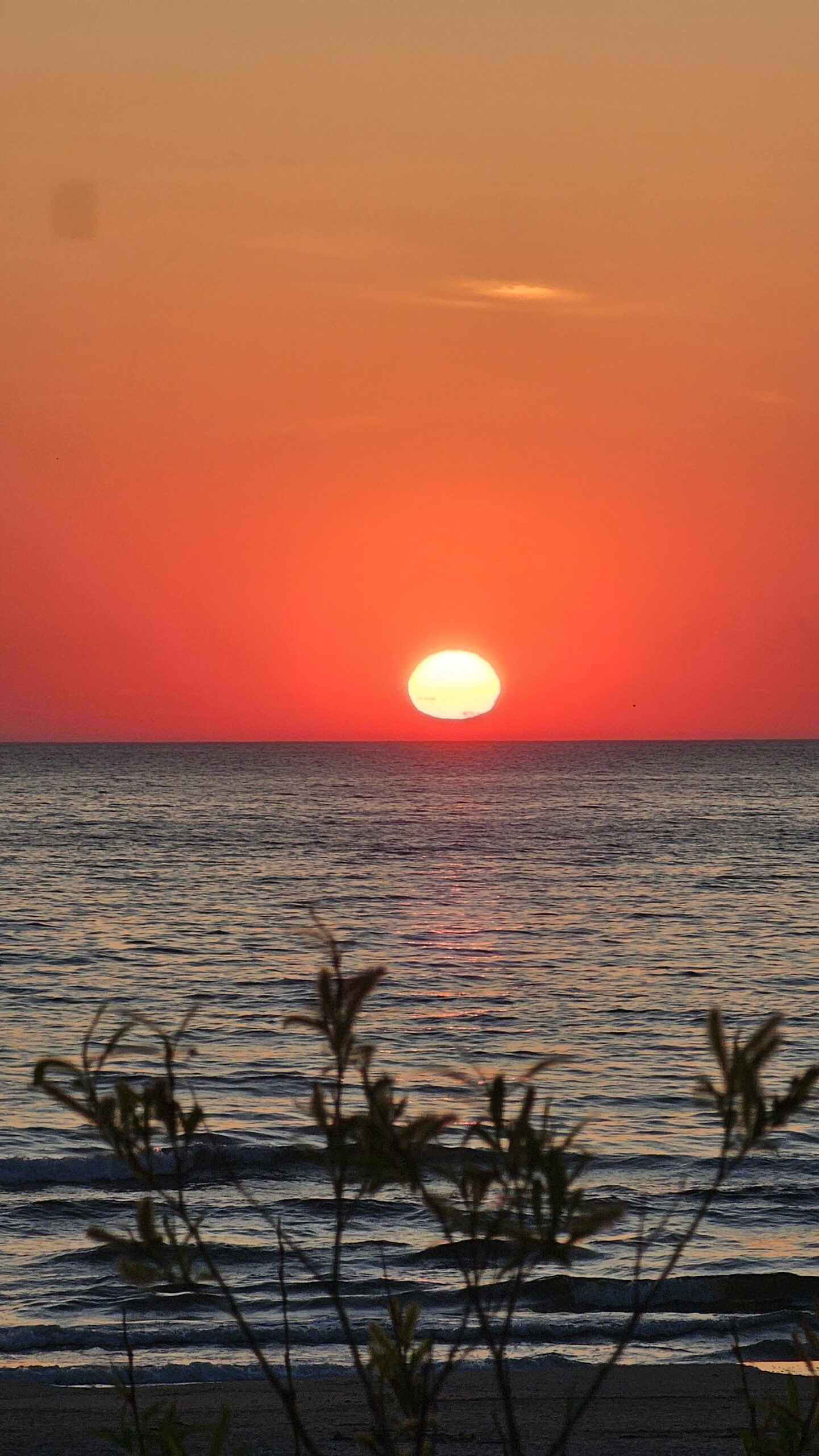 Sonnenaufgang auf Usedom