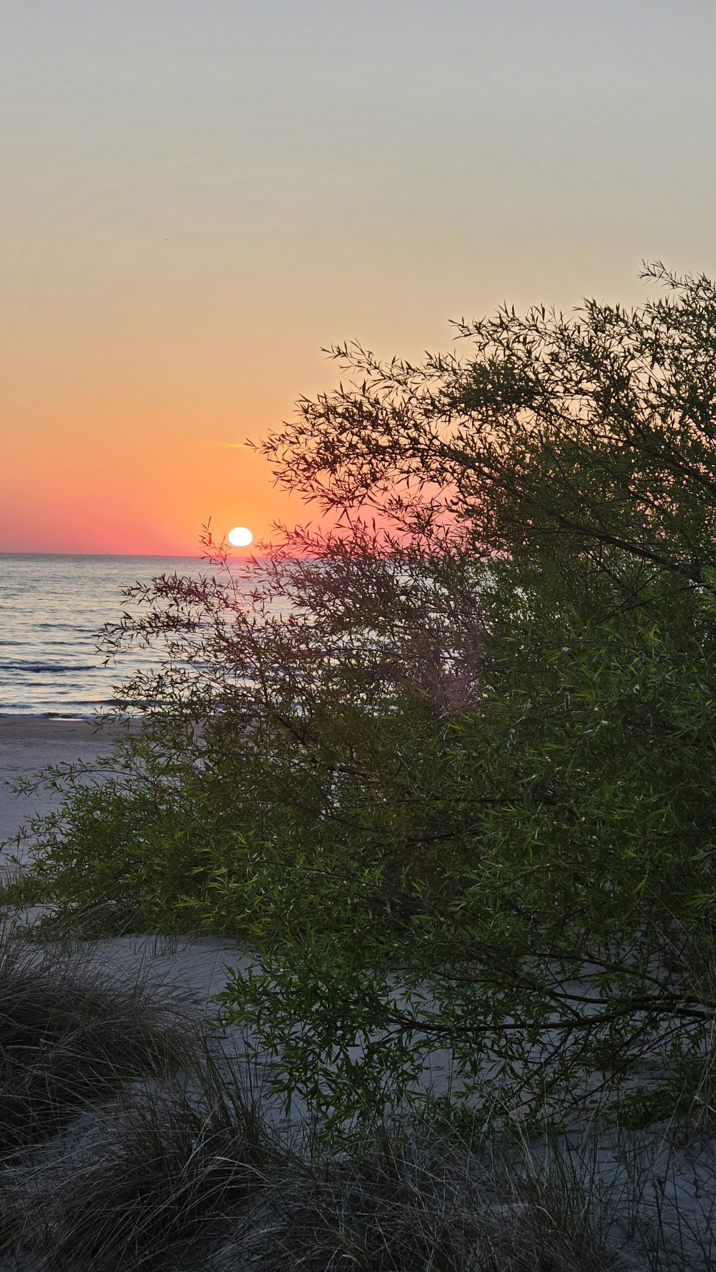 Sonnenaufgang auf Usedom