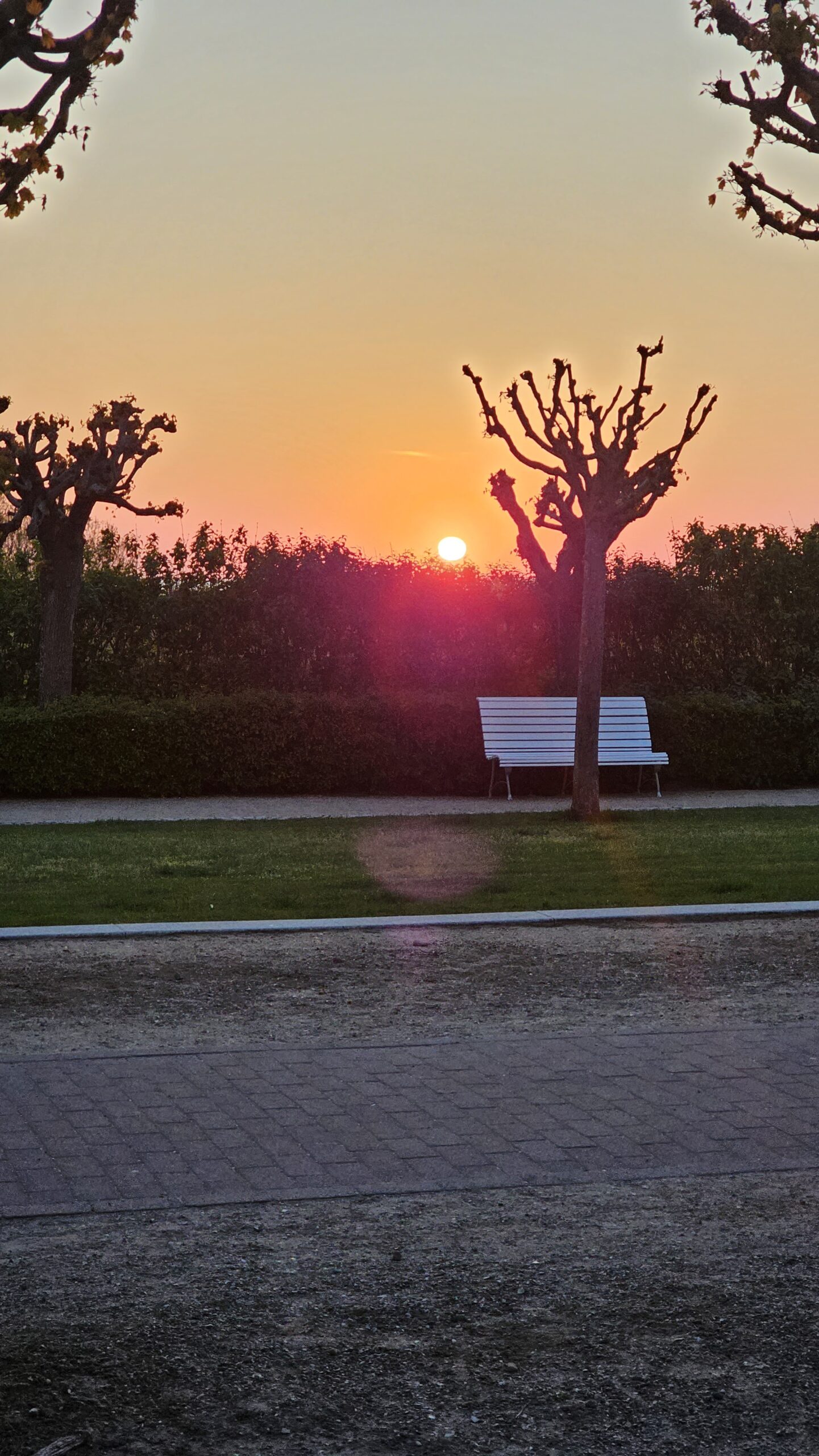 Sonnenaufgang auf Usedom