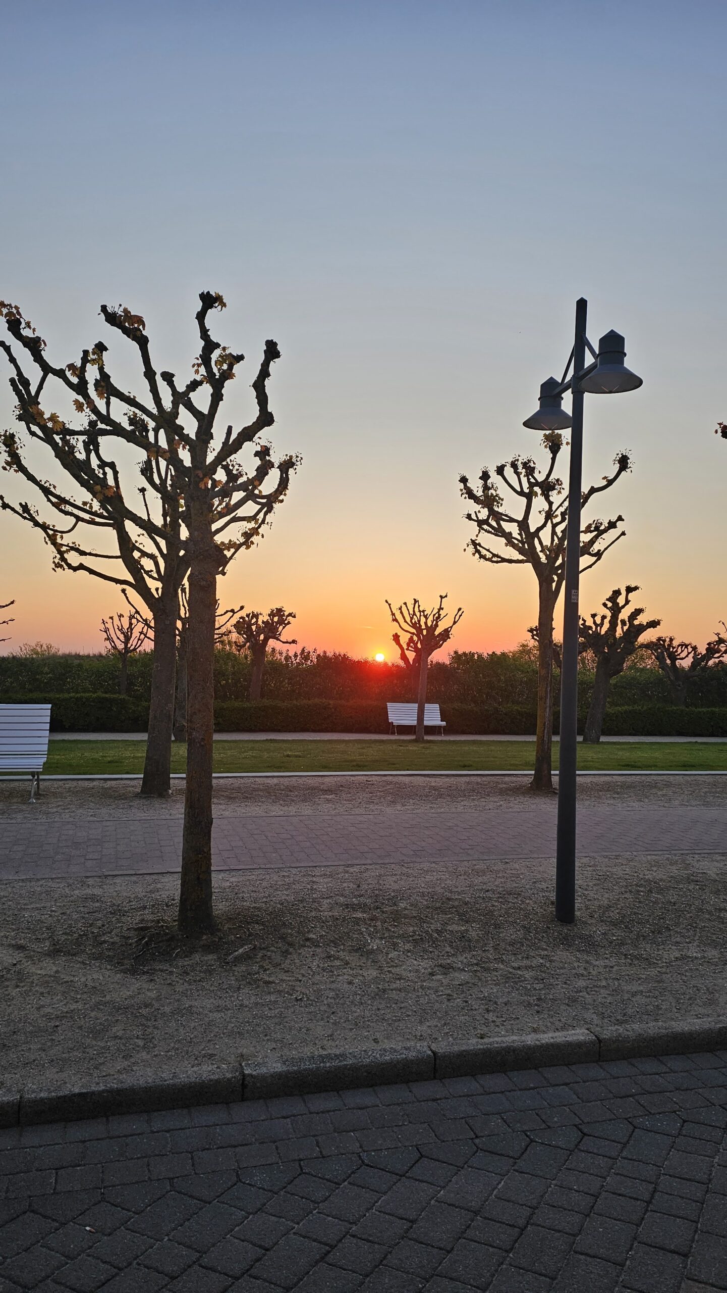 Sonnenaufgang auf Usedom