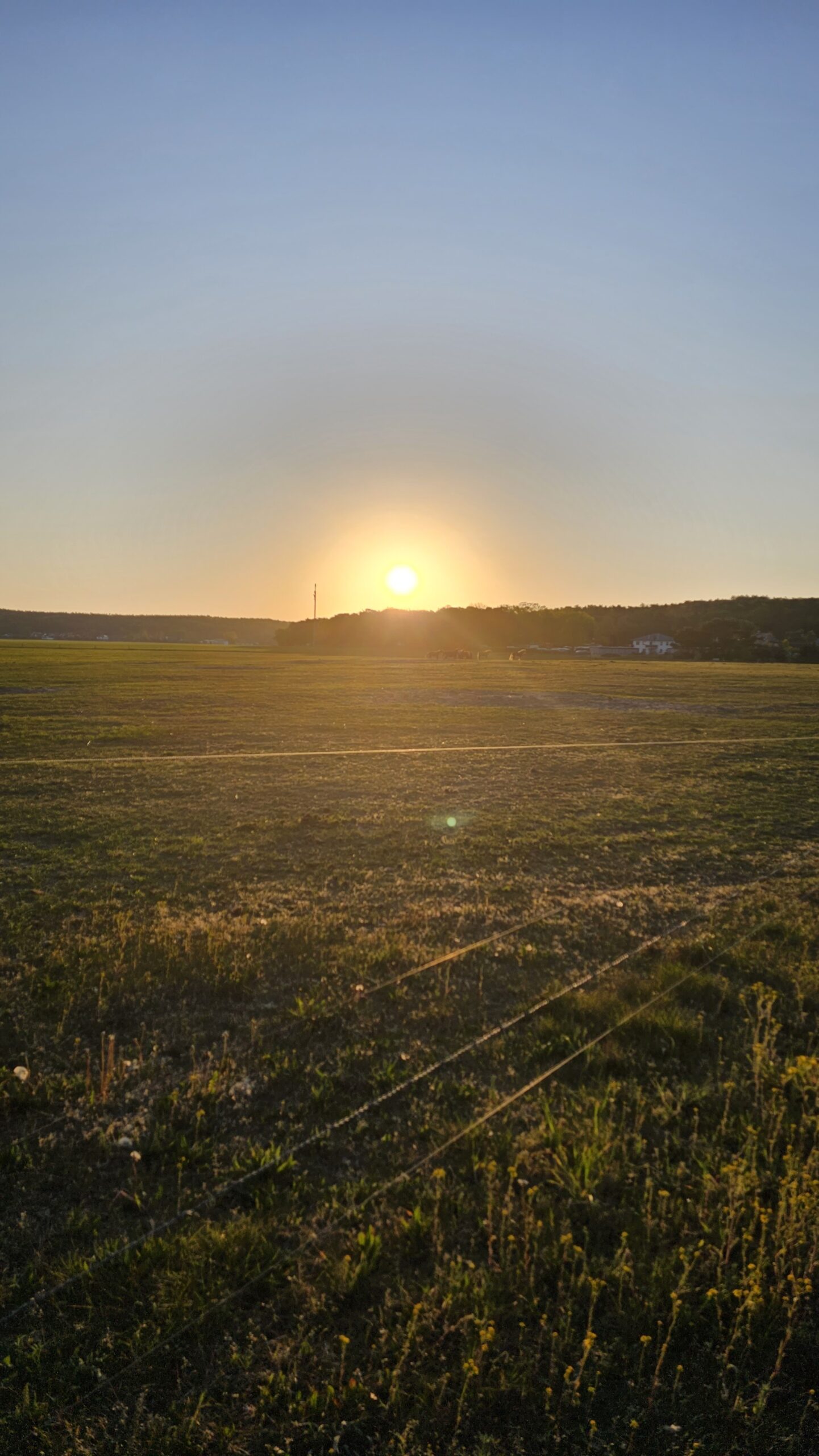 Sonnenaufgang auf Usedom