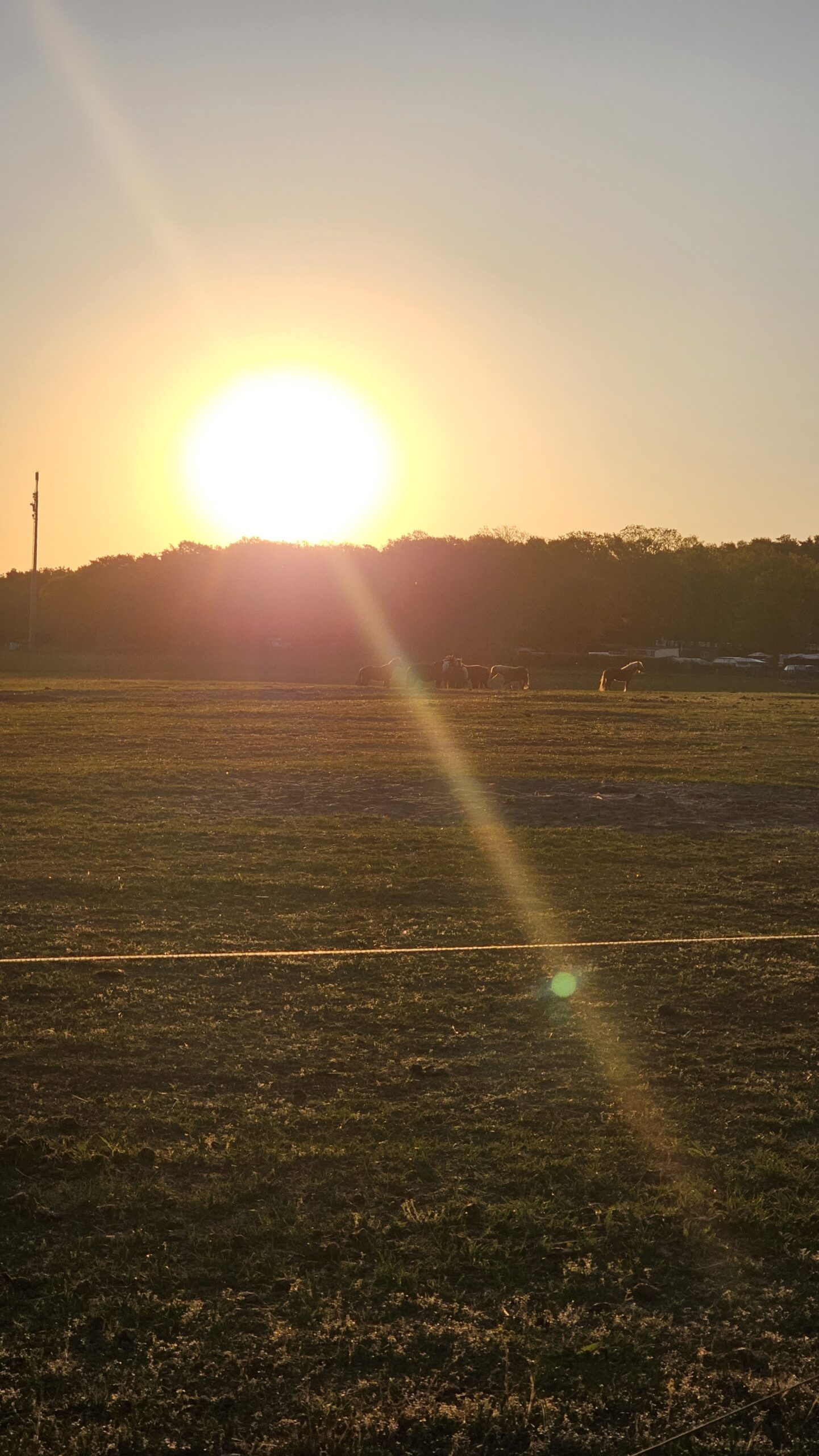 Sonnenaufgang auf Usedom