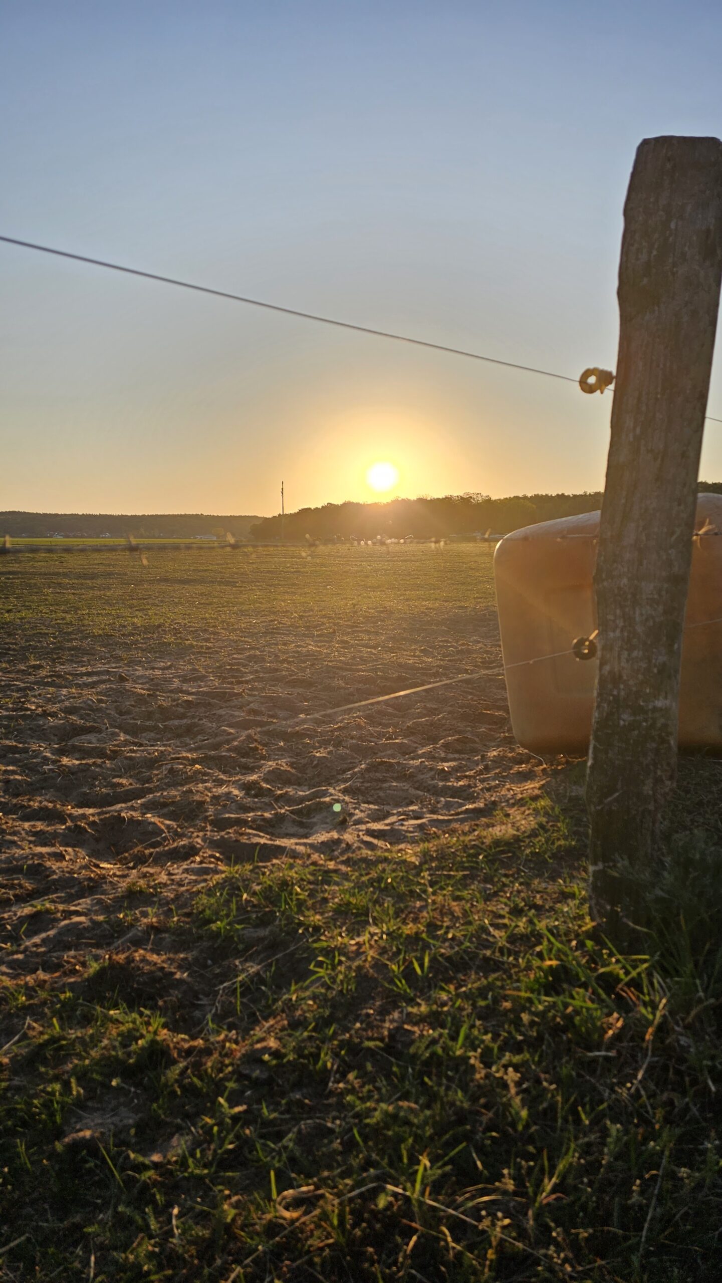 Sonnenaufgang auf Usedom