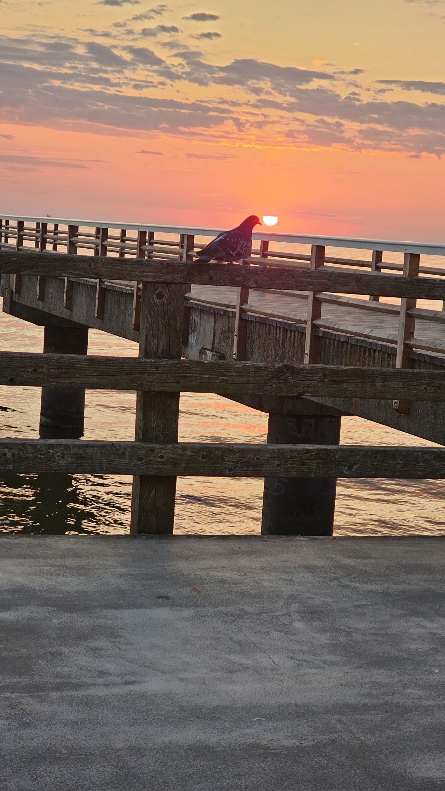 Sonnenaufgang auf Usedom