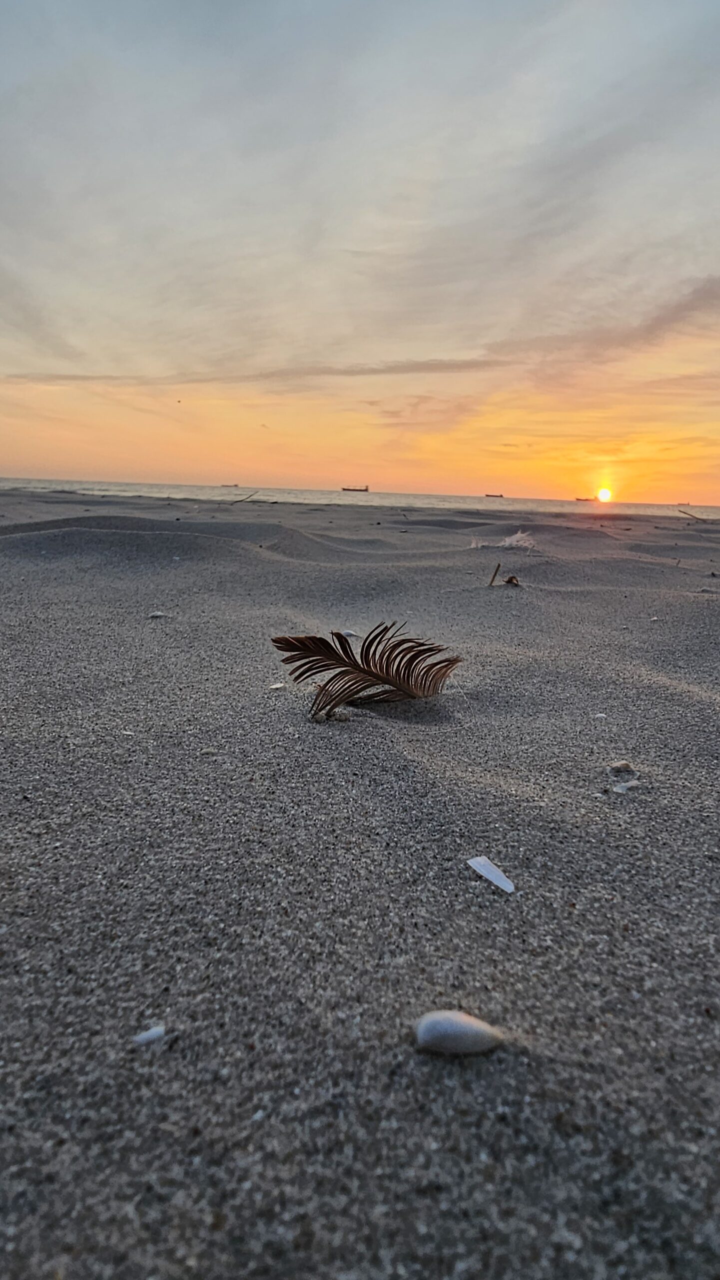 Sonnenaufgang auf Usedom