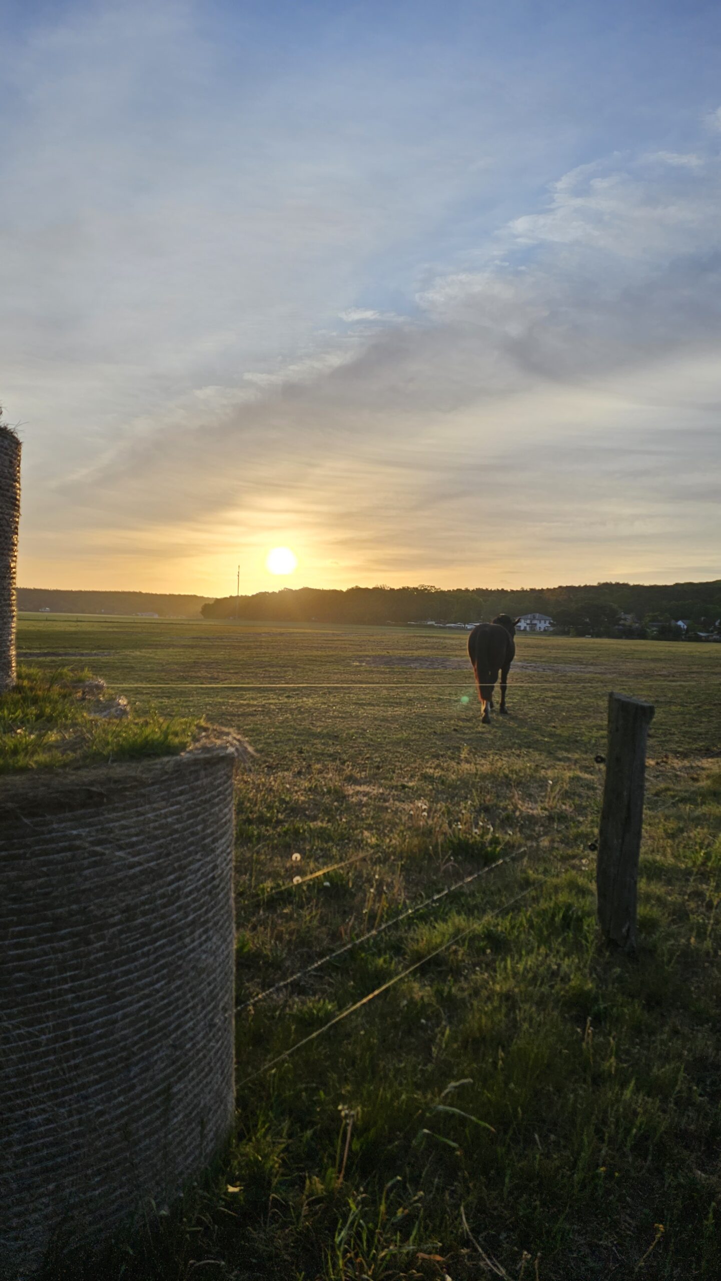 Natur auf Usedom