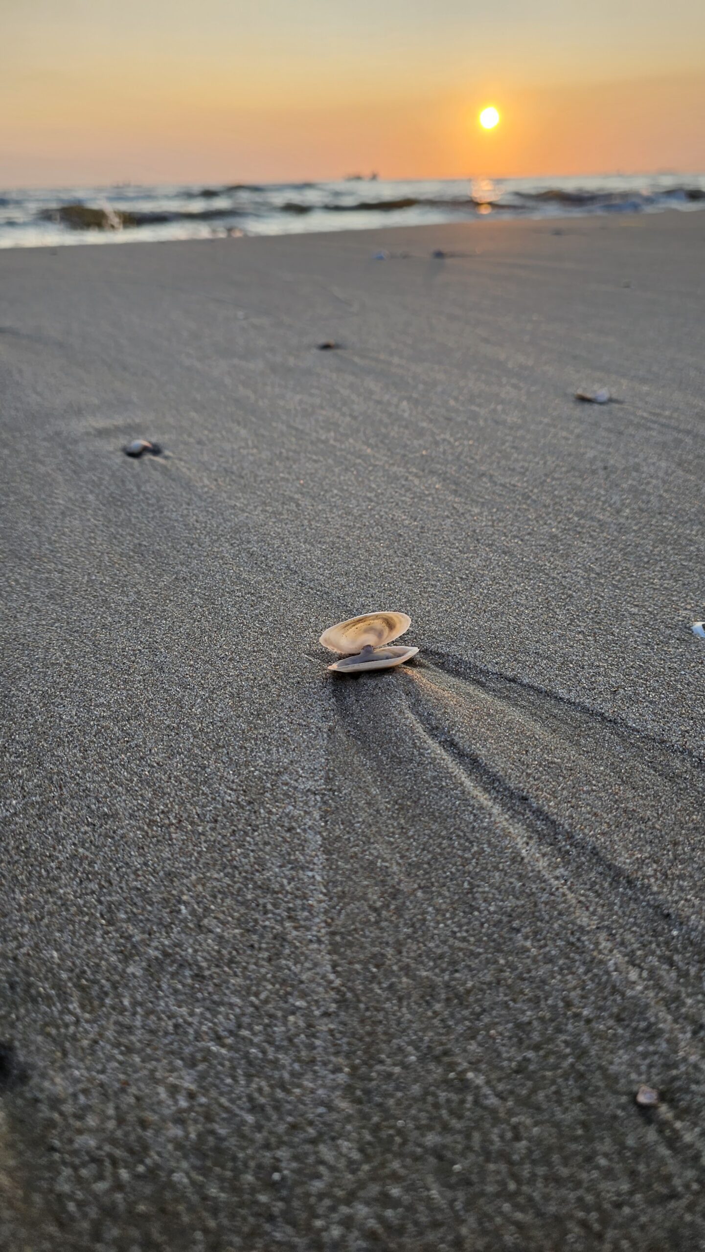 Sonnenaufgang auf Usedom