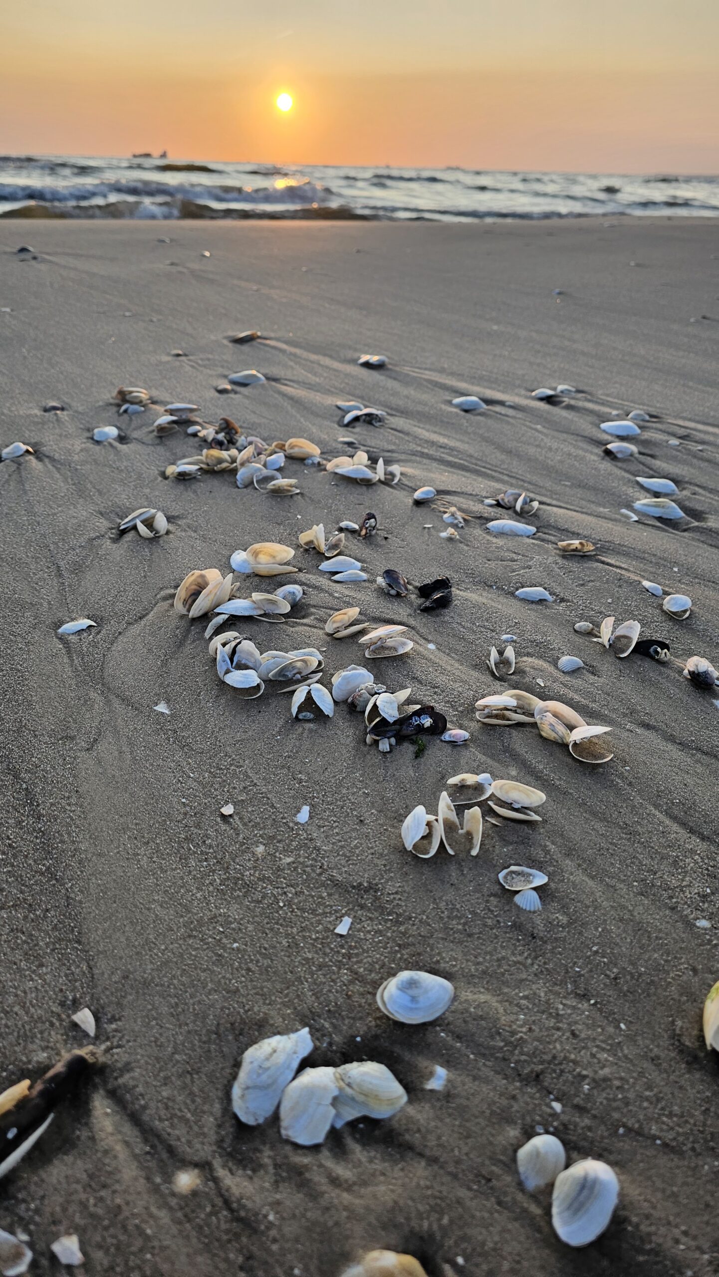 Sonnenaufgang auf Usedom