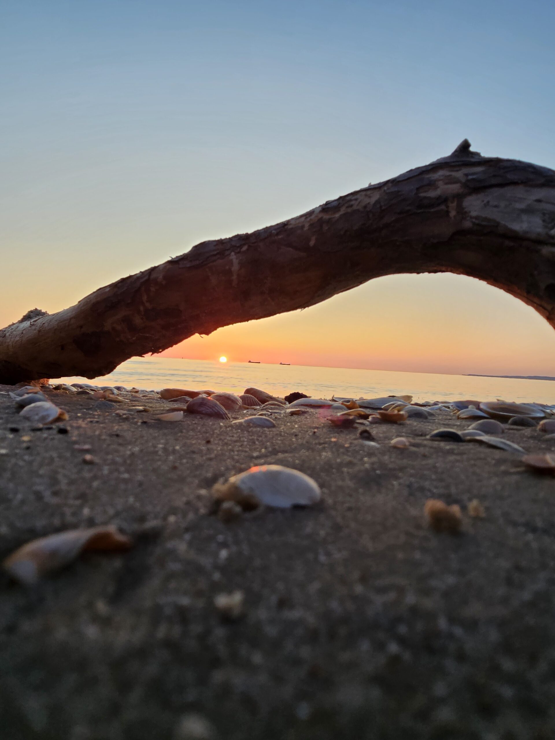 Sonnenaufgang auf Usedom