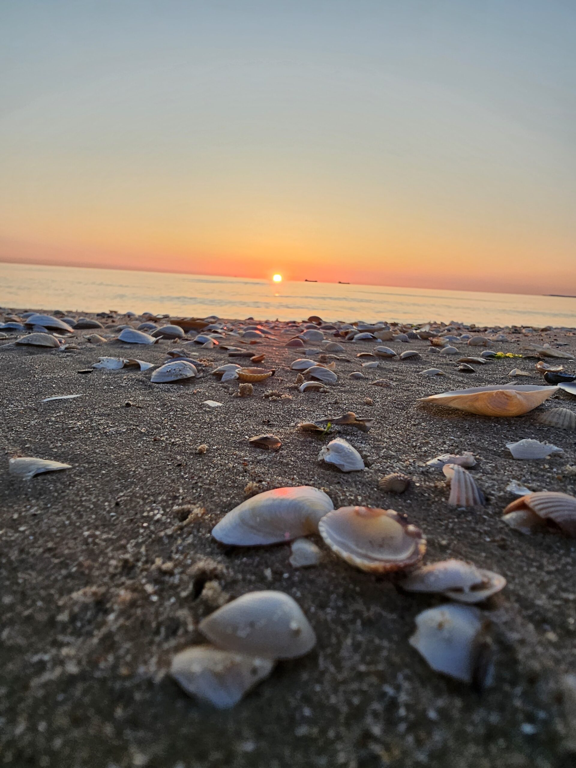 Sonnenaufgang auf Usedom