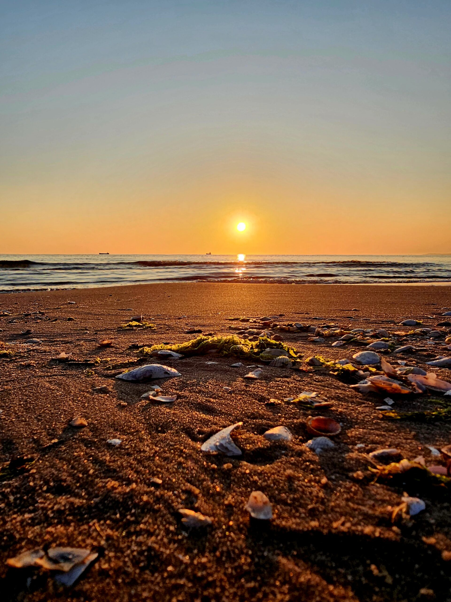 Sonnenaufgang auf Usedom