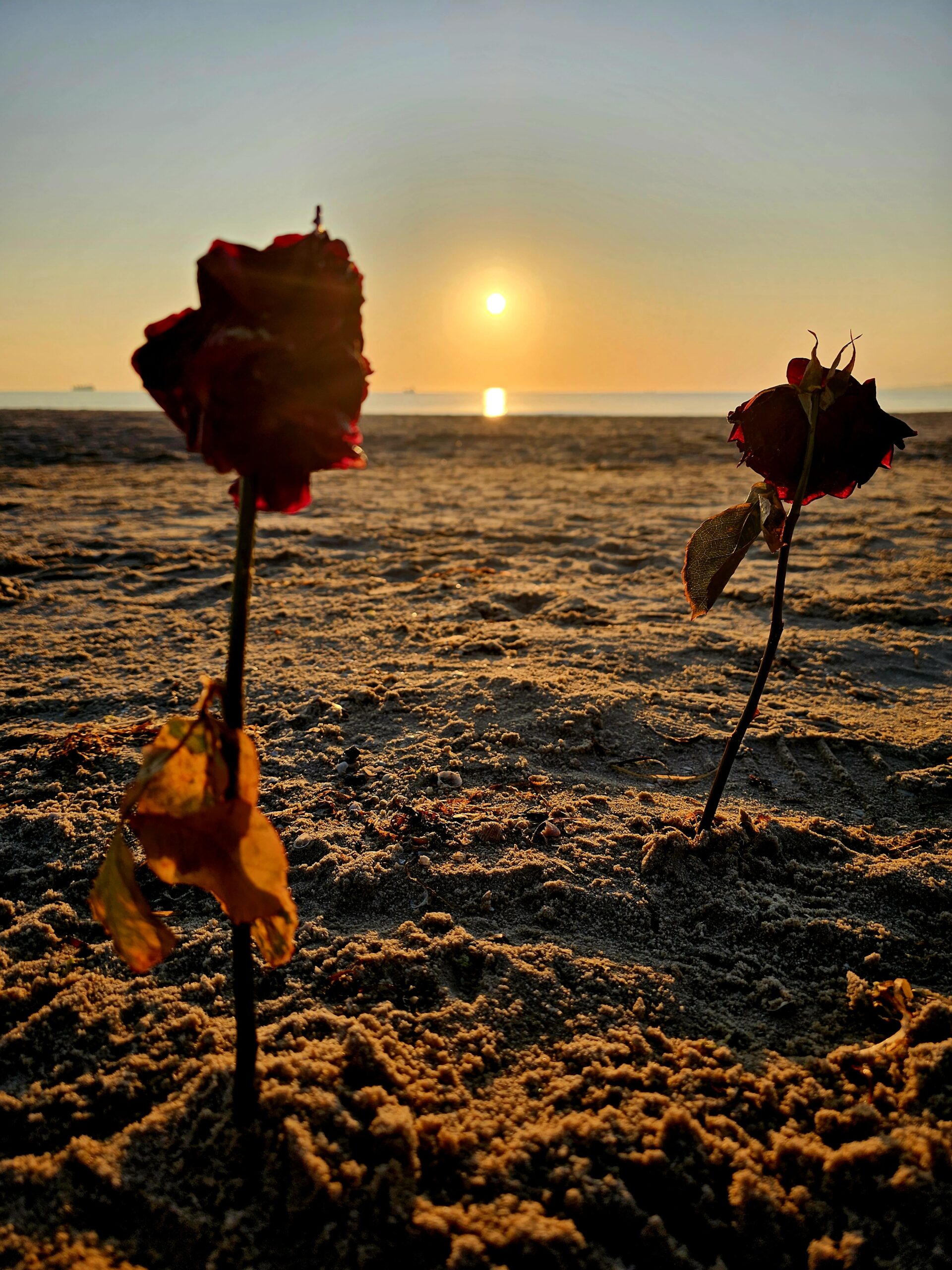Sonnenaufgang auf Usedom