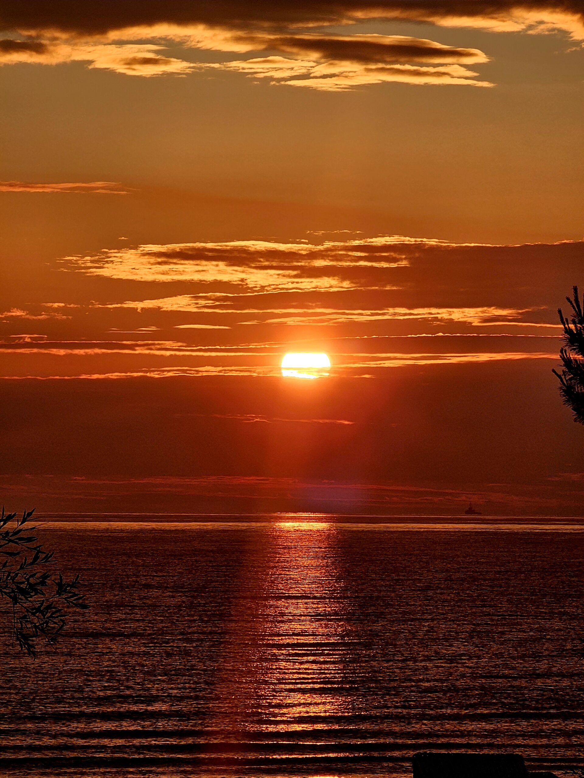 Sonnenaufgang auf Usedom