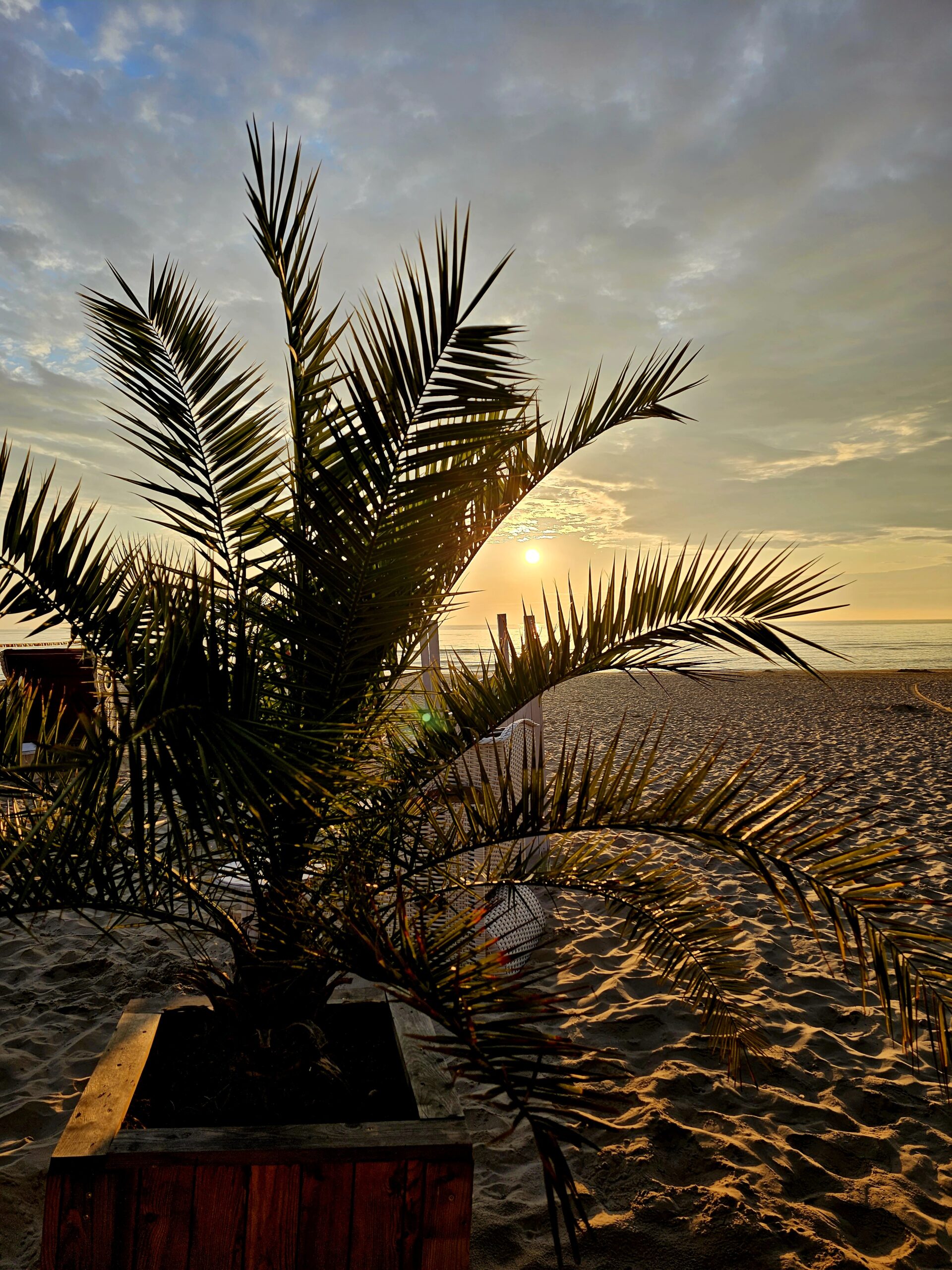 Sonnenaufgang auf Usedom