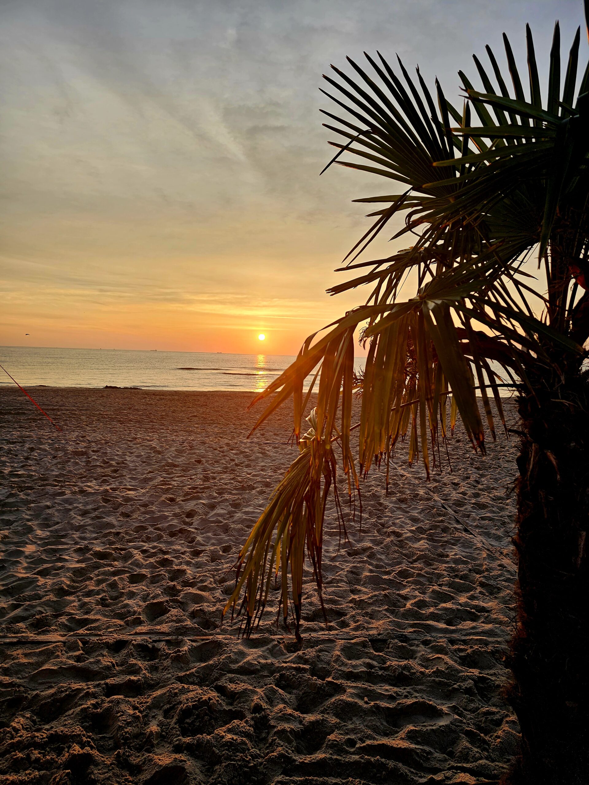 Sonnenaufgang auf Usedom