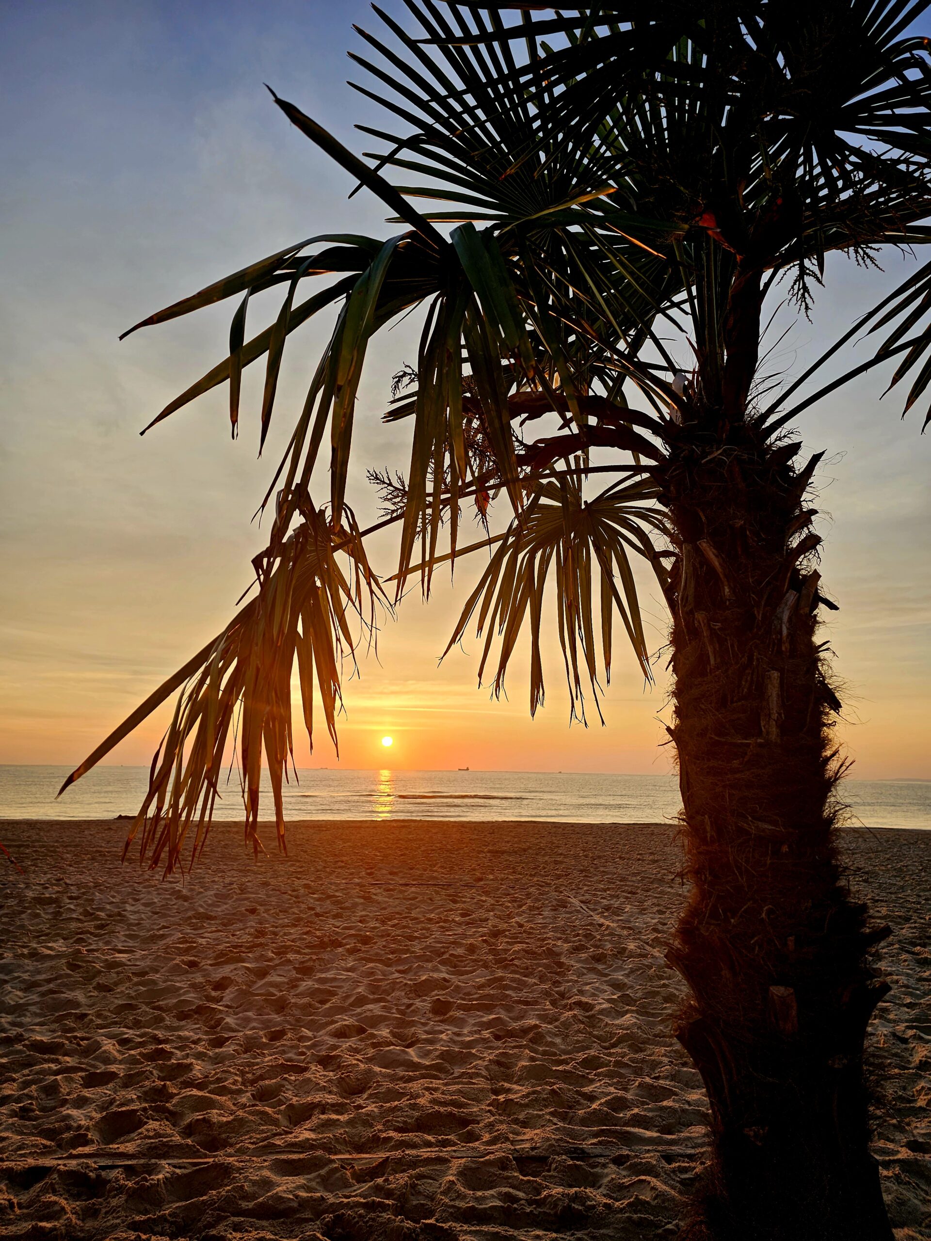 Sonnenaufgang auf Usedom