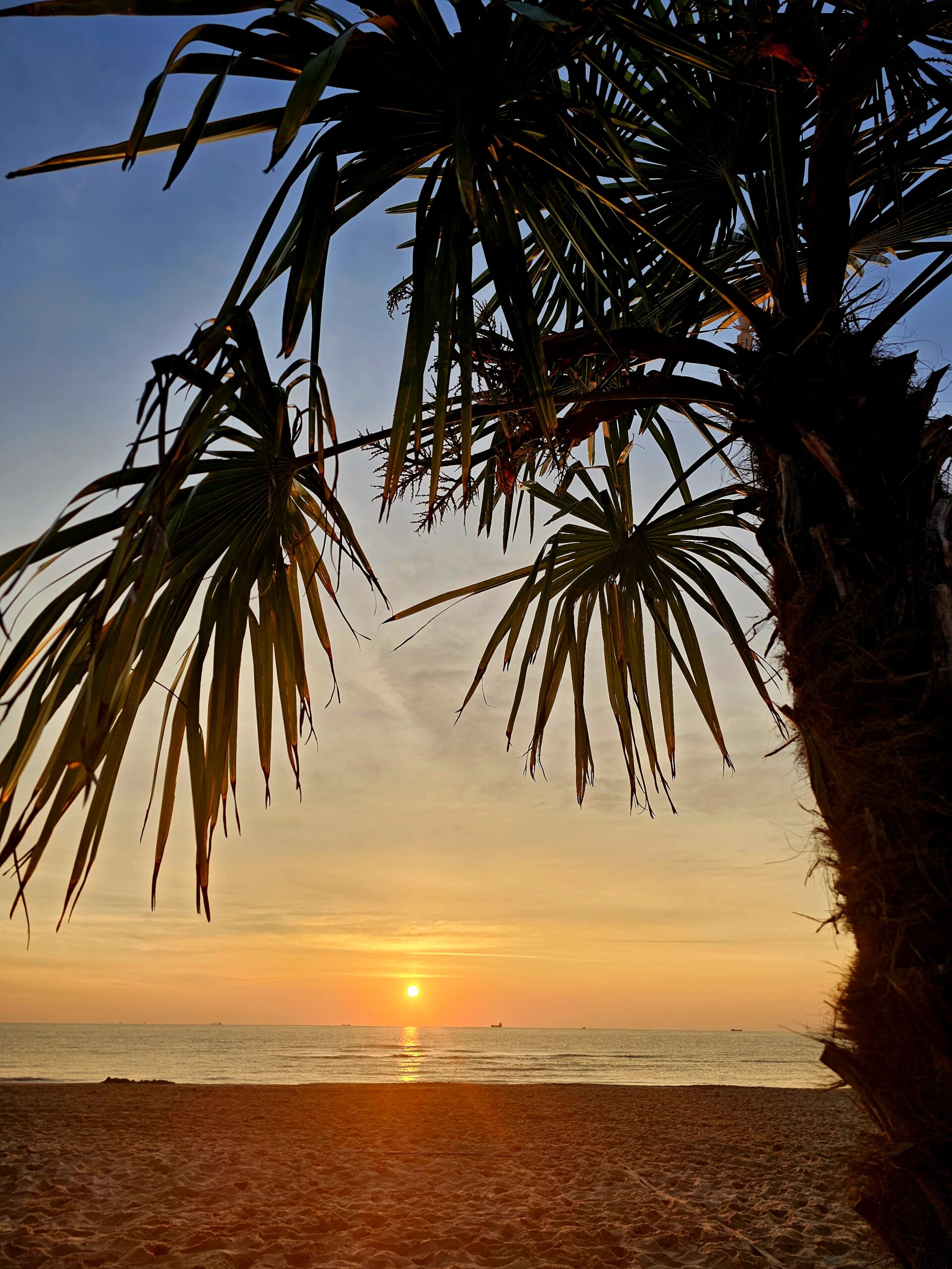 Sonnenaufgang auf Usedom