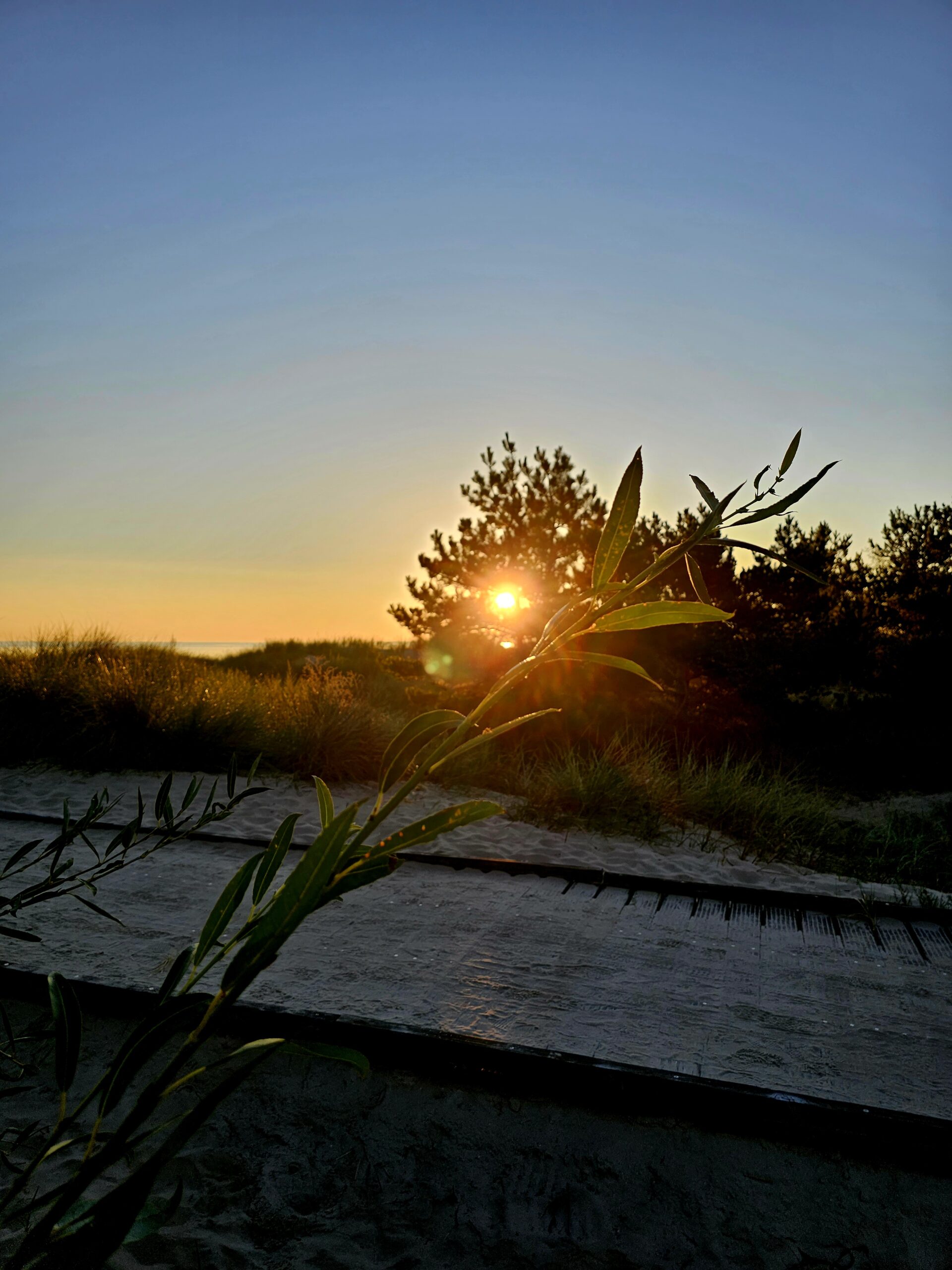 Sonnenaufgang auf Usedom