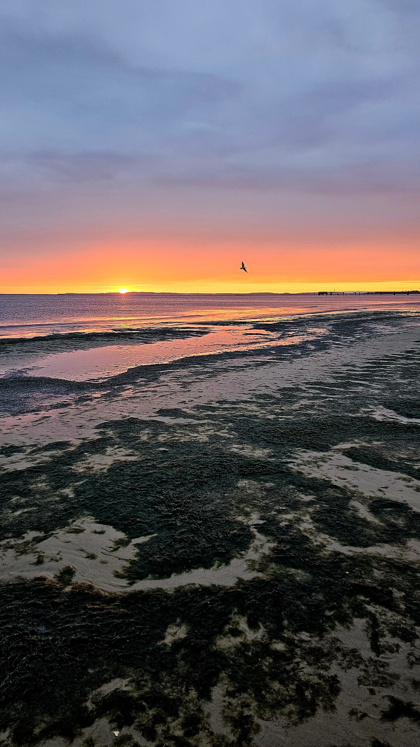 Sonnenaufgang auf Usedom