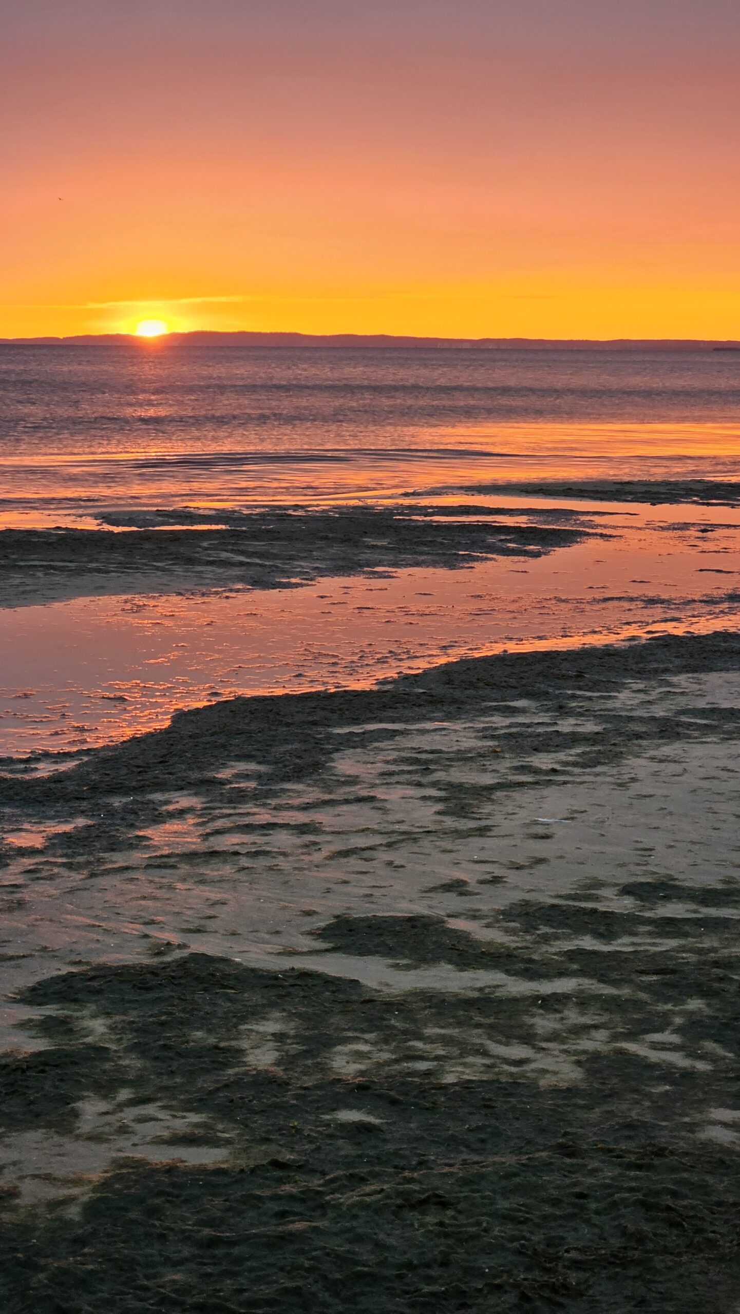 Sonnenaufgang auf Usedom