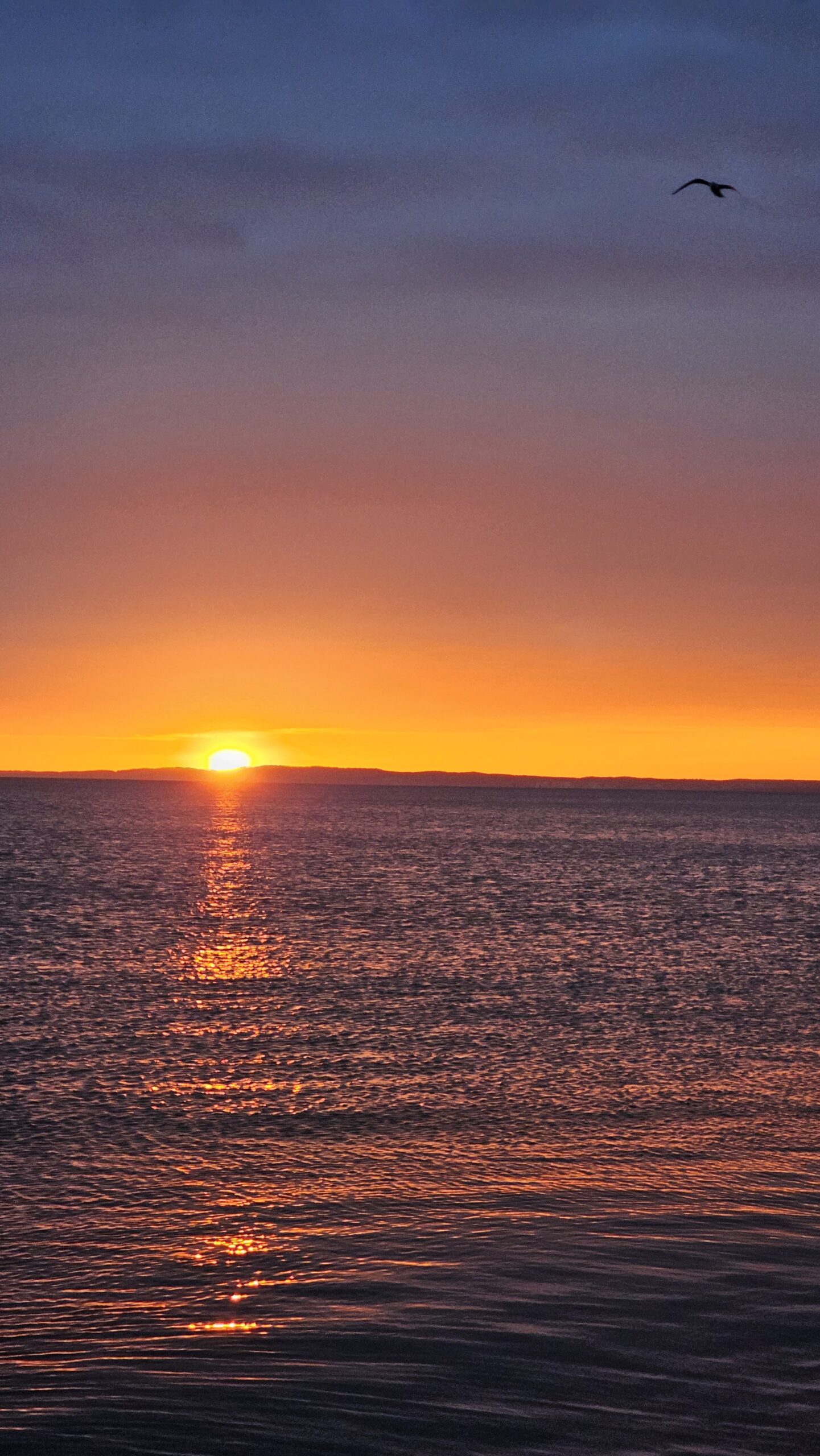 Sonnenaufgang auf Usedom