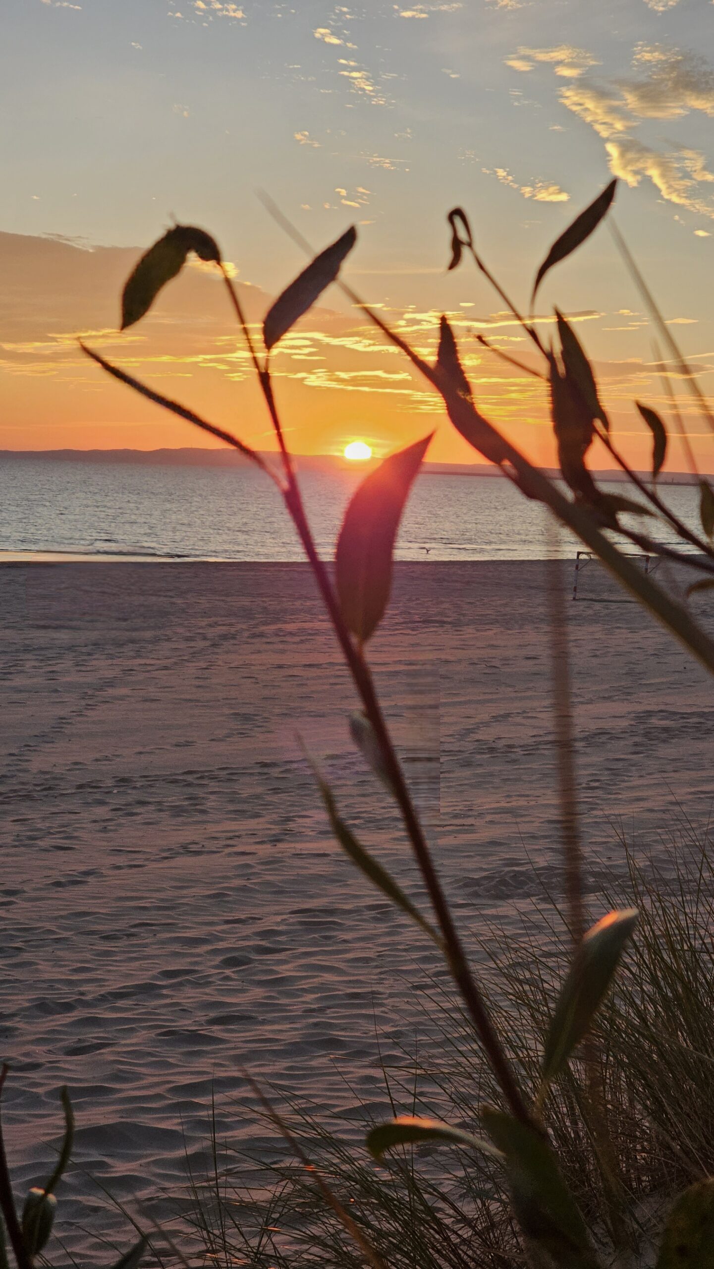 Sonnenaufgang auf Usedom