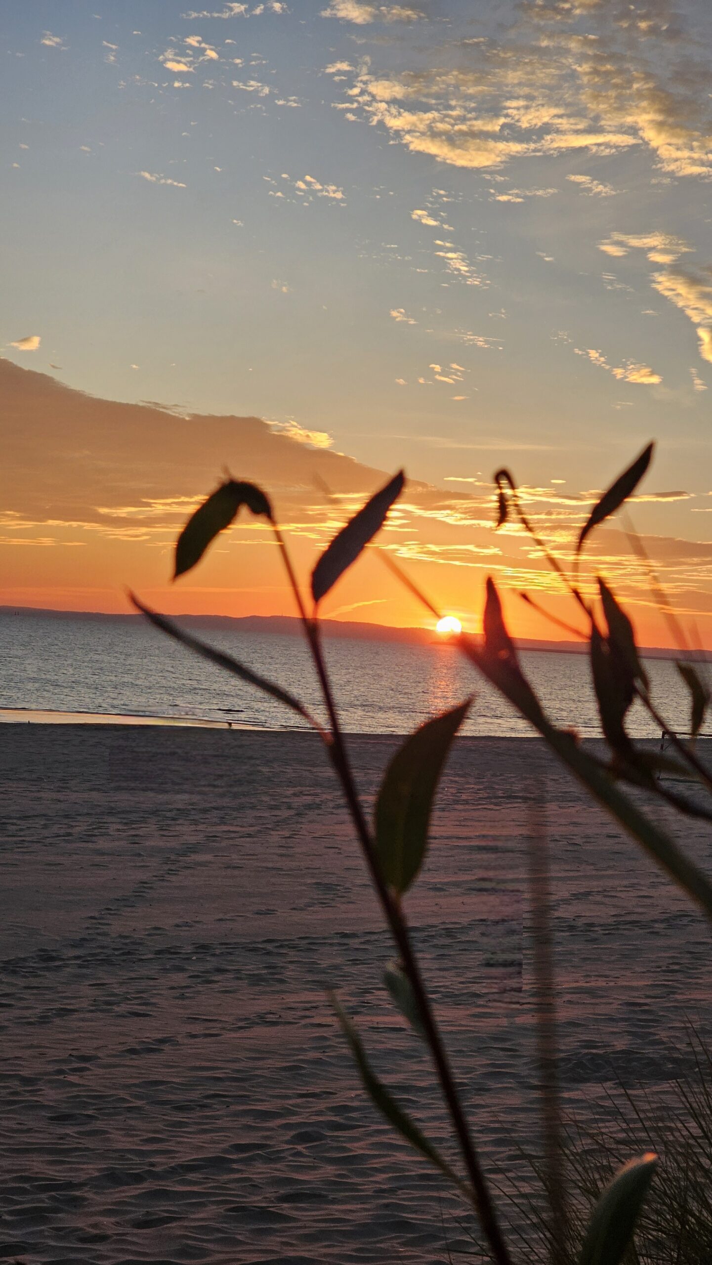 Sonnenaufgang auf Usedom