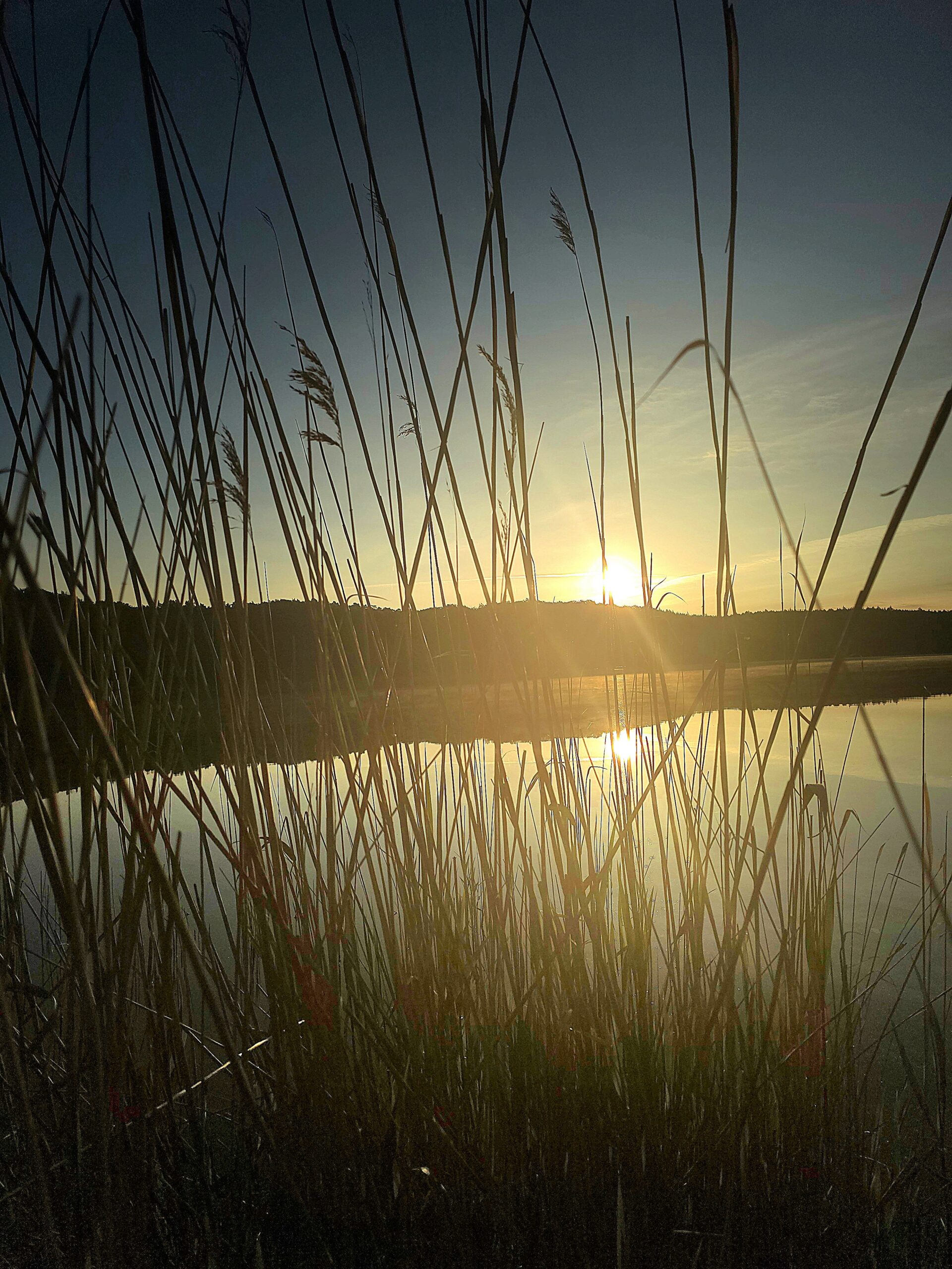 Sonnenaufgang auf Usedom