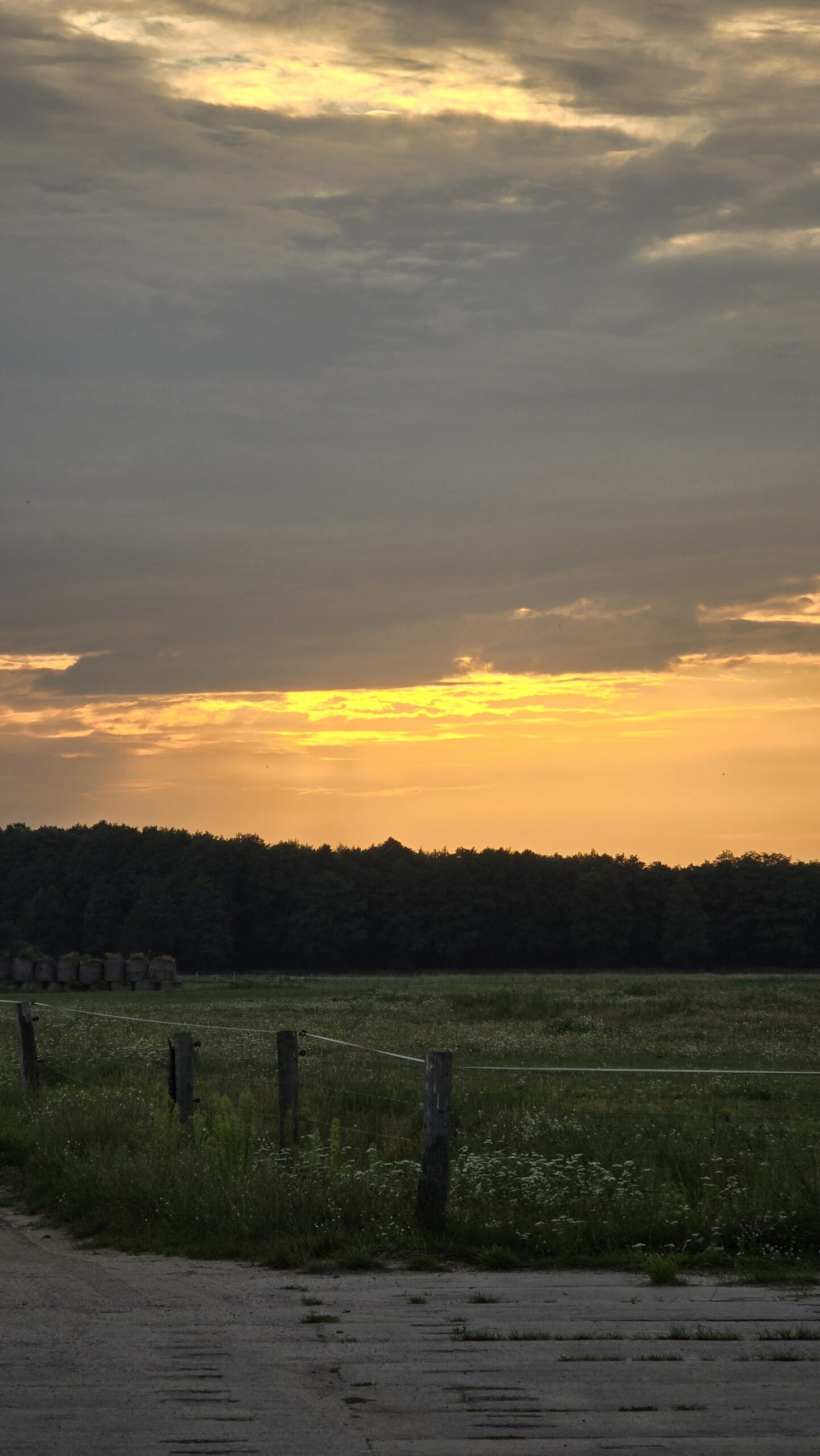 Sonnenaufgang auf Usedom