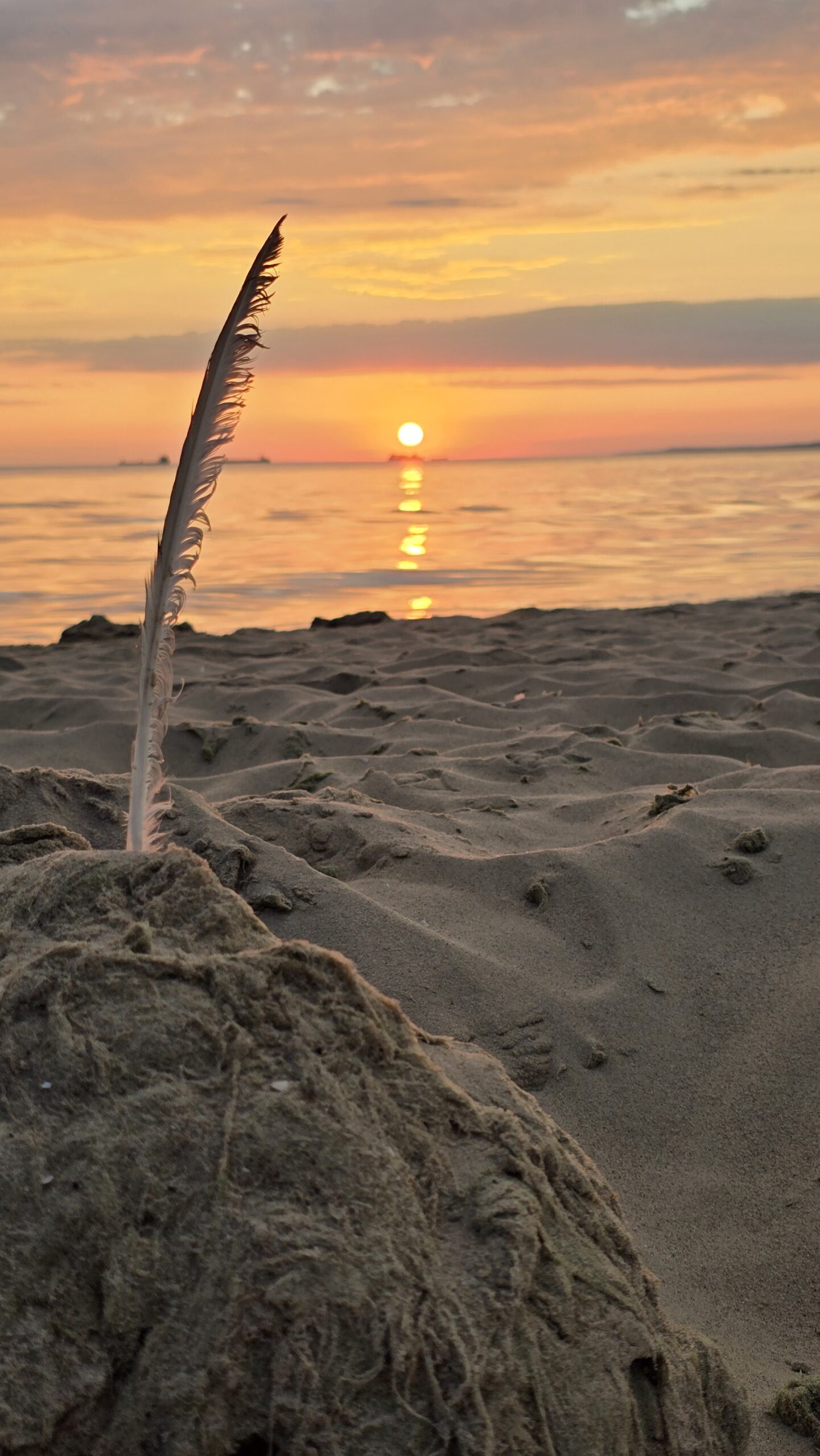 Sonnenaufgang auf Usedom