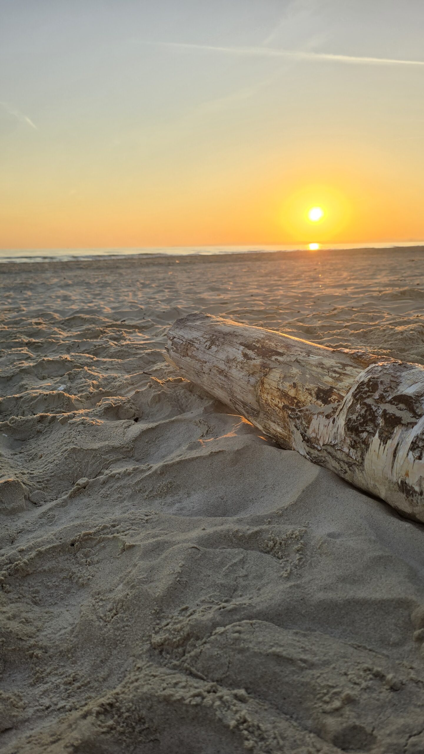 Sonnenaufgang auf Usedom