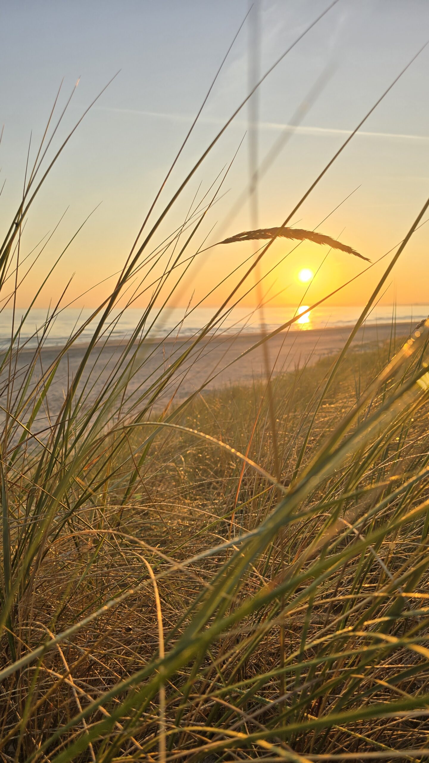 Sonnenaufgang auf Usedom