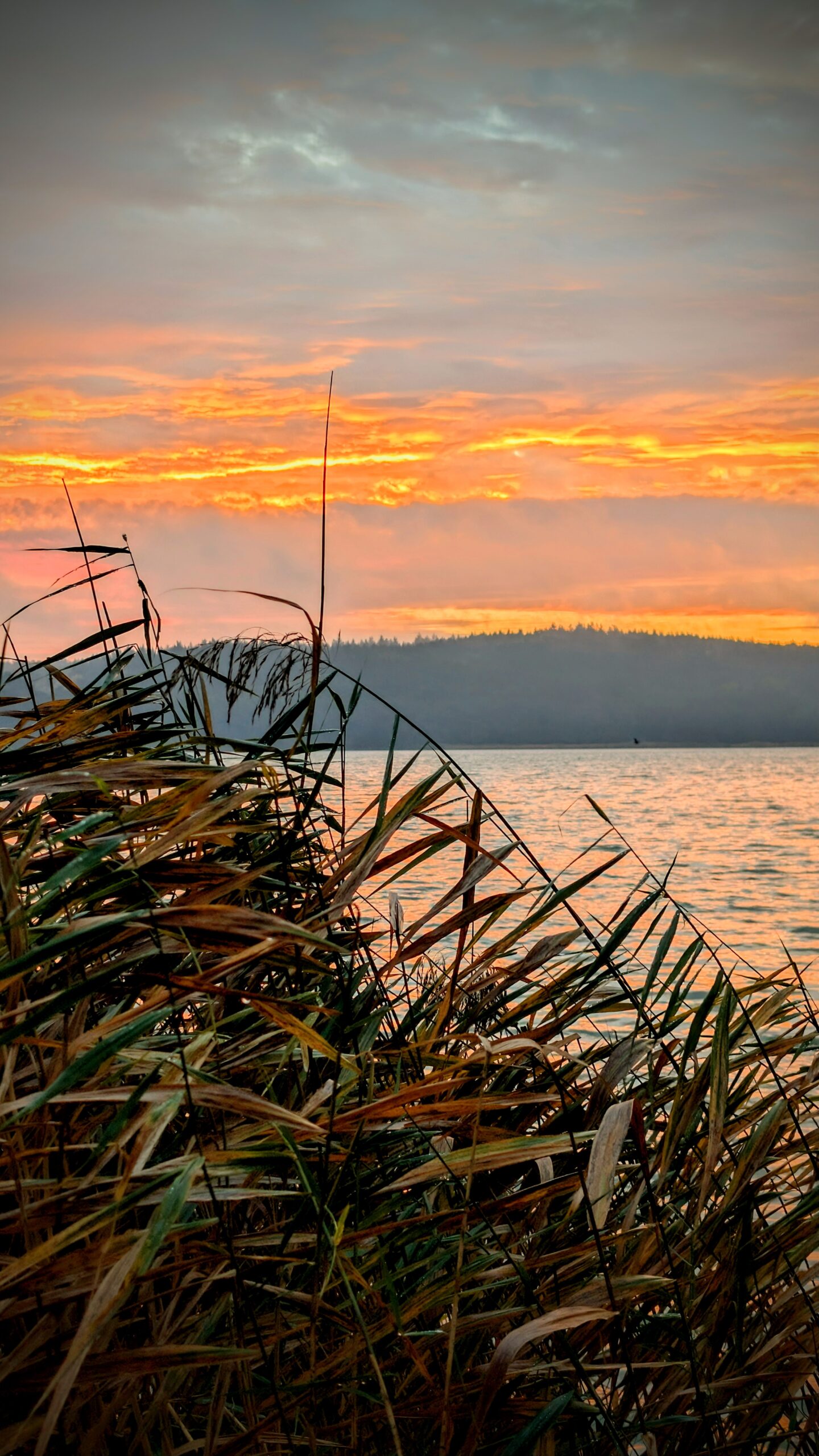 Sonnenaufgang auf Usedom