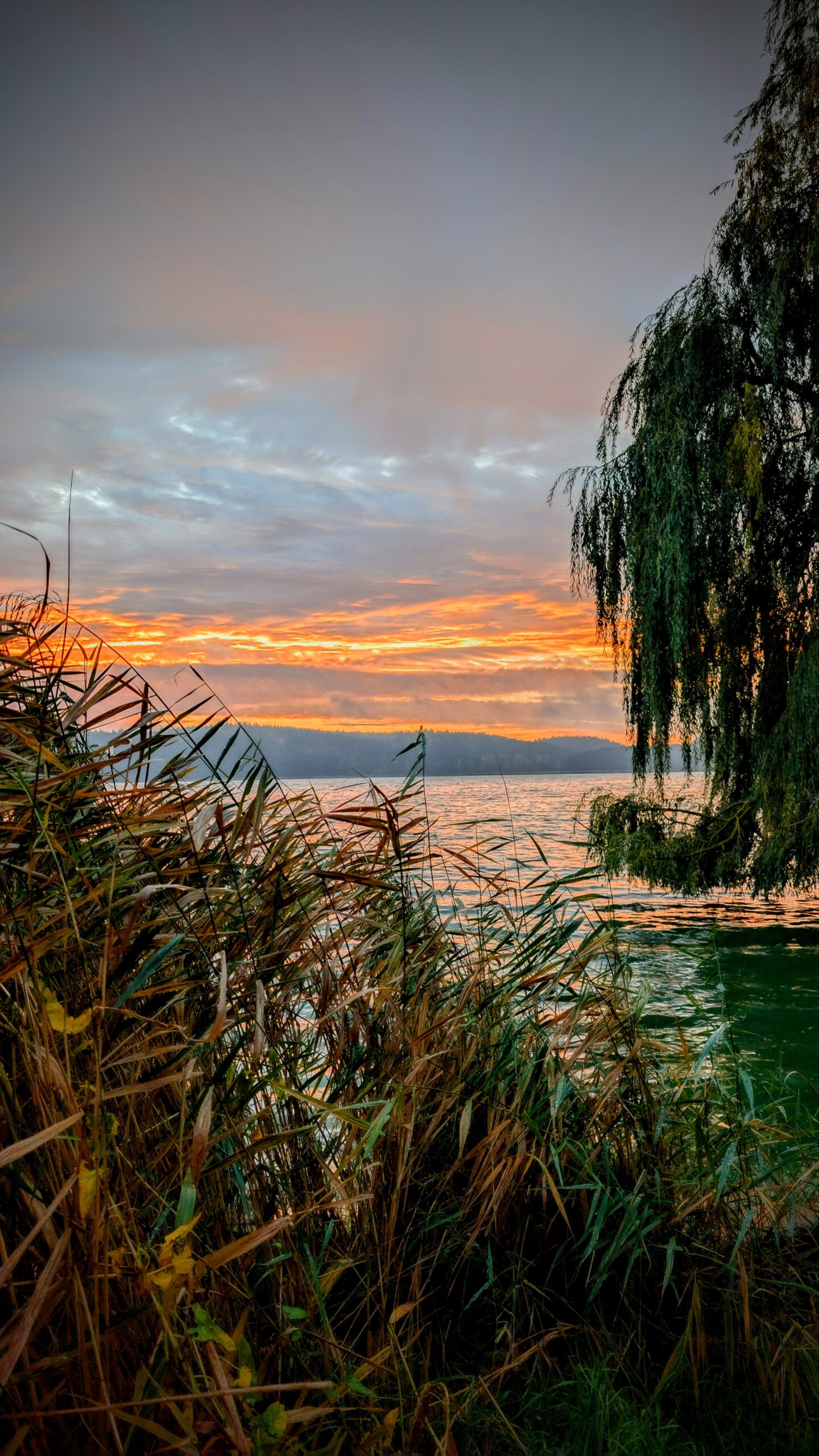 Sonnenaufgang auf Usedom