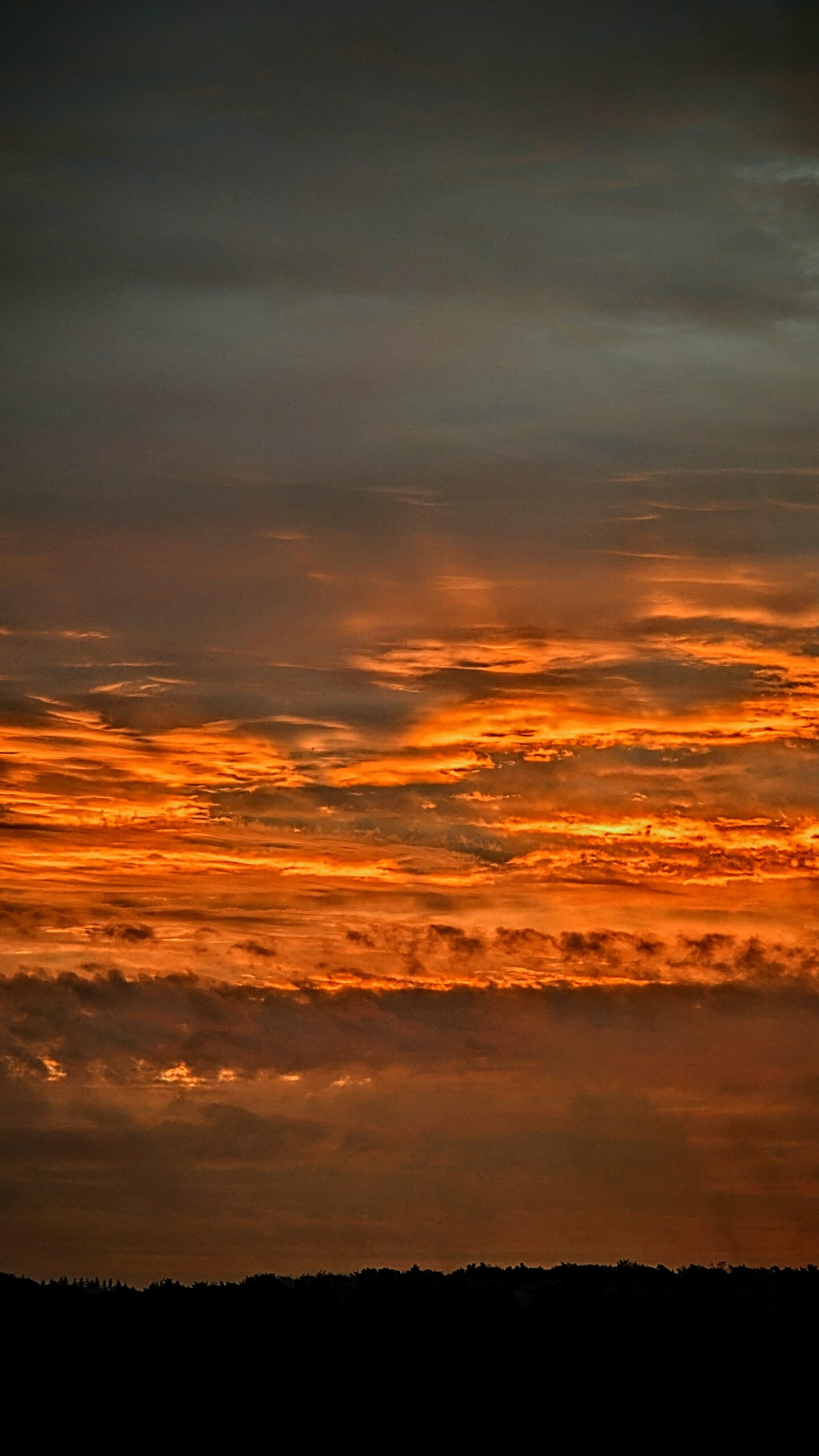 Sonnenaufgang auf Usedom