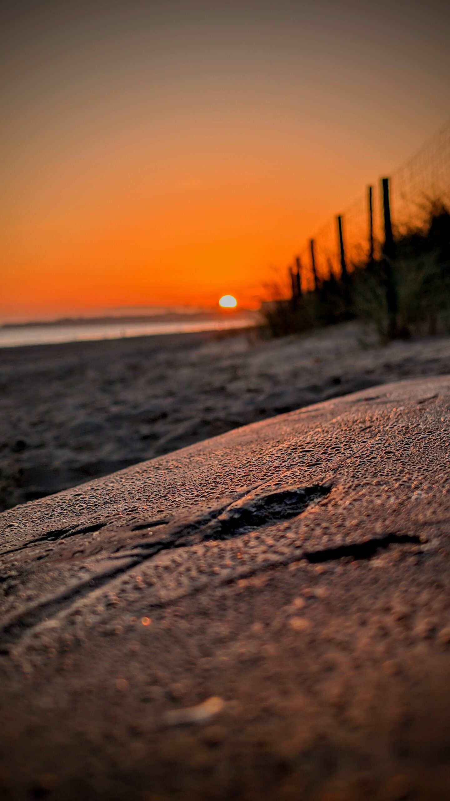 Sonnenaufgang auf Usedom