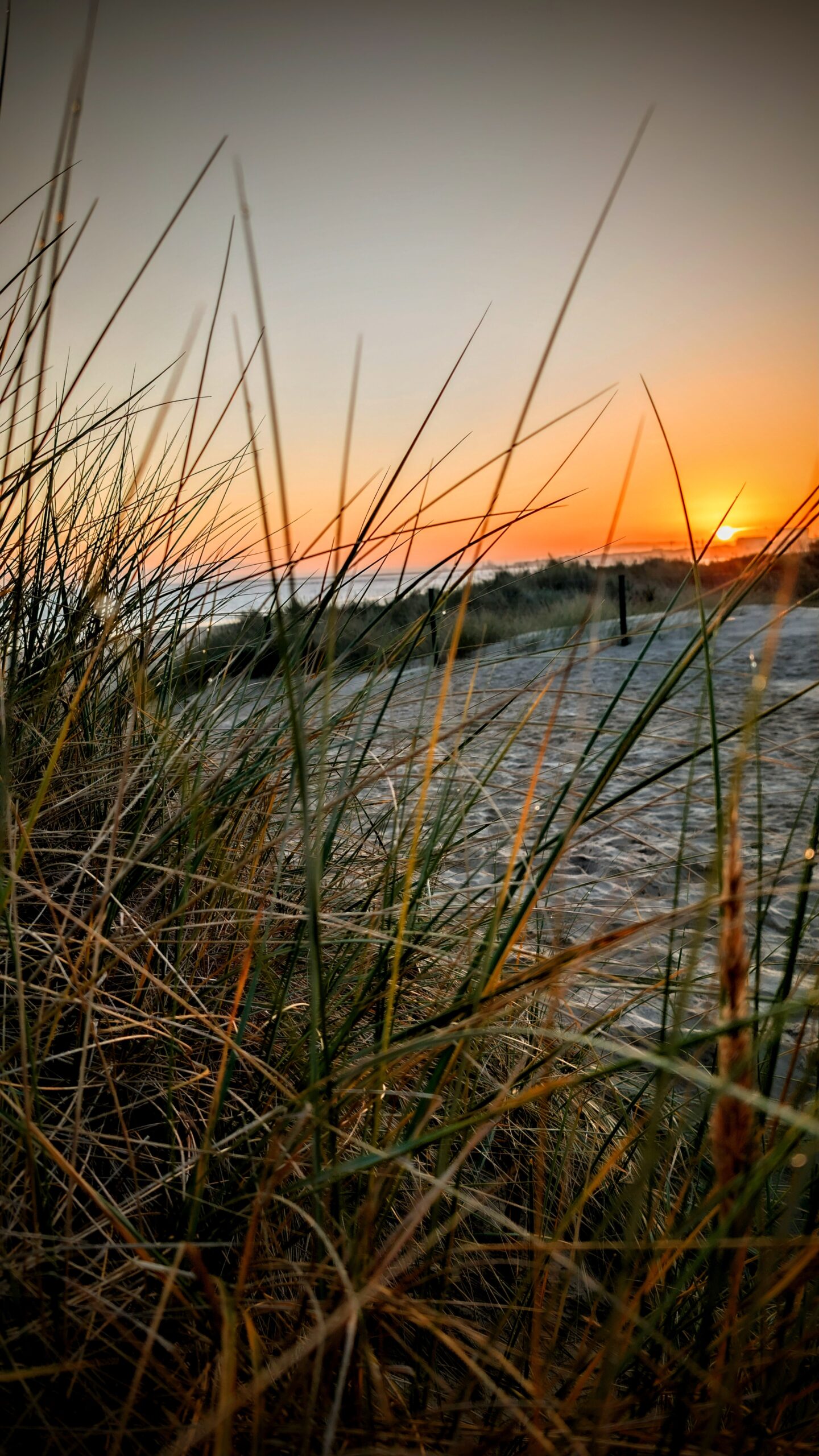 Sonnenaufgang auf Usedom