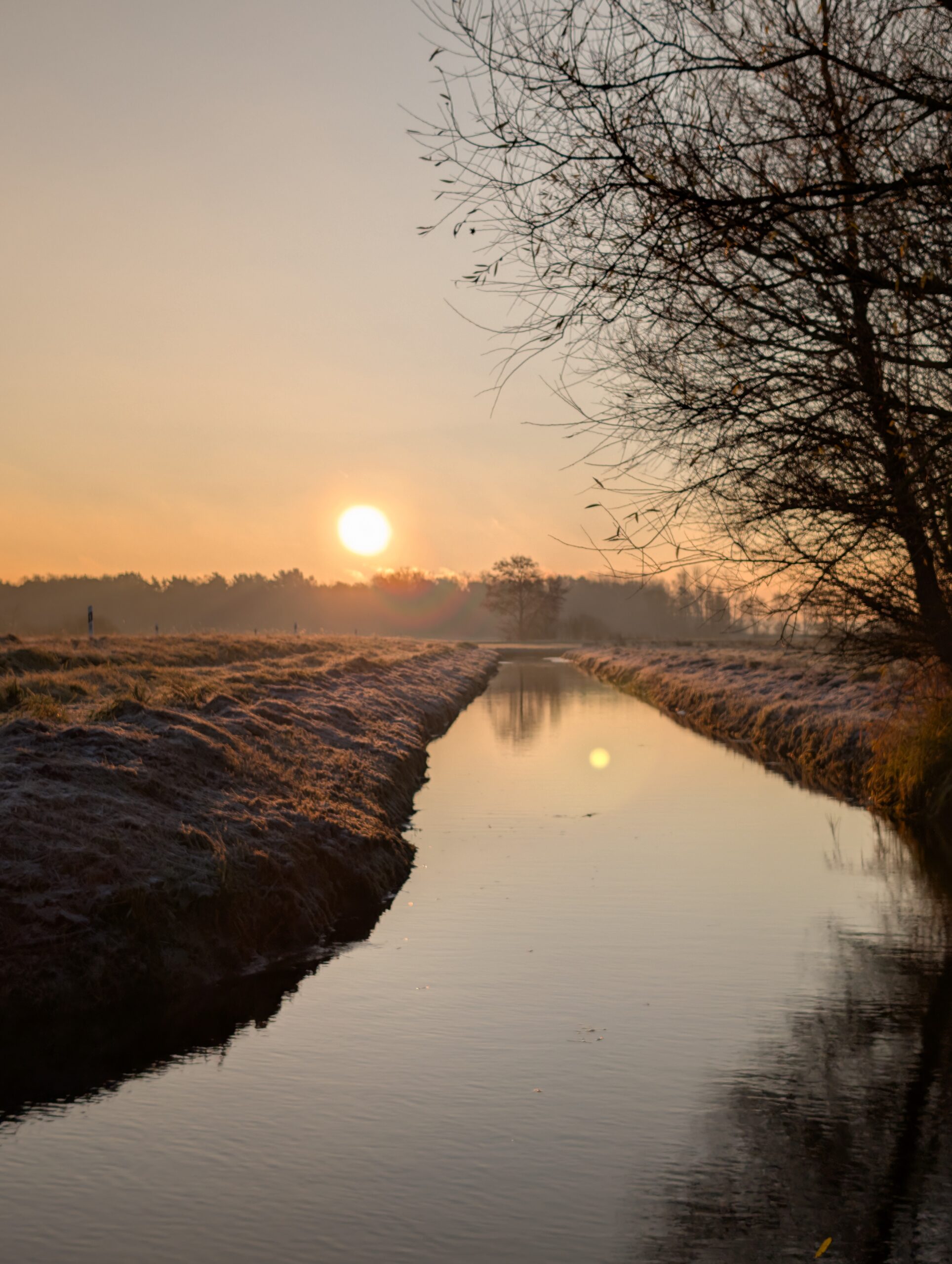Sonnenaufgang auf Usedom